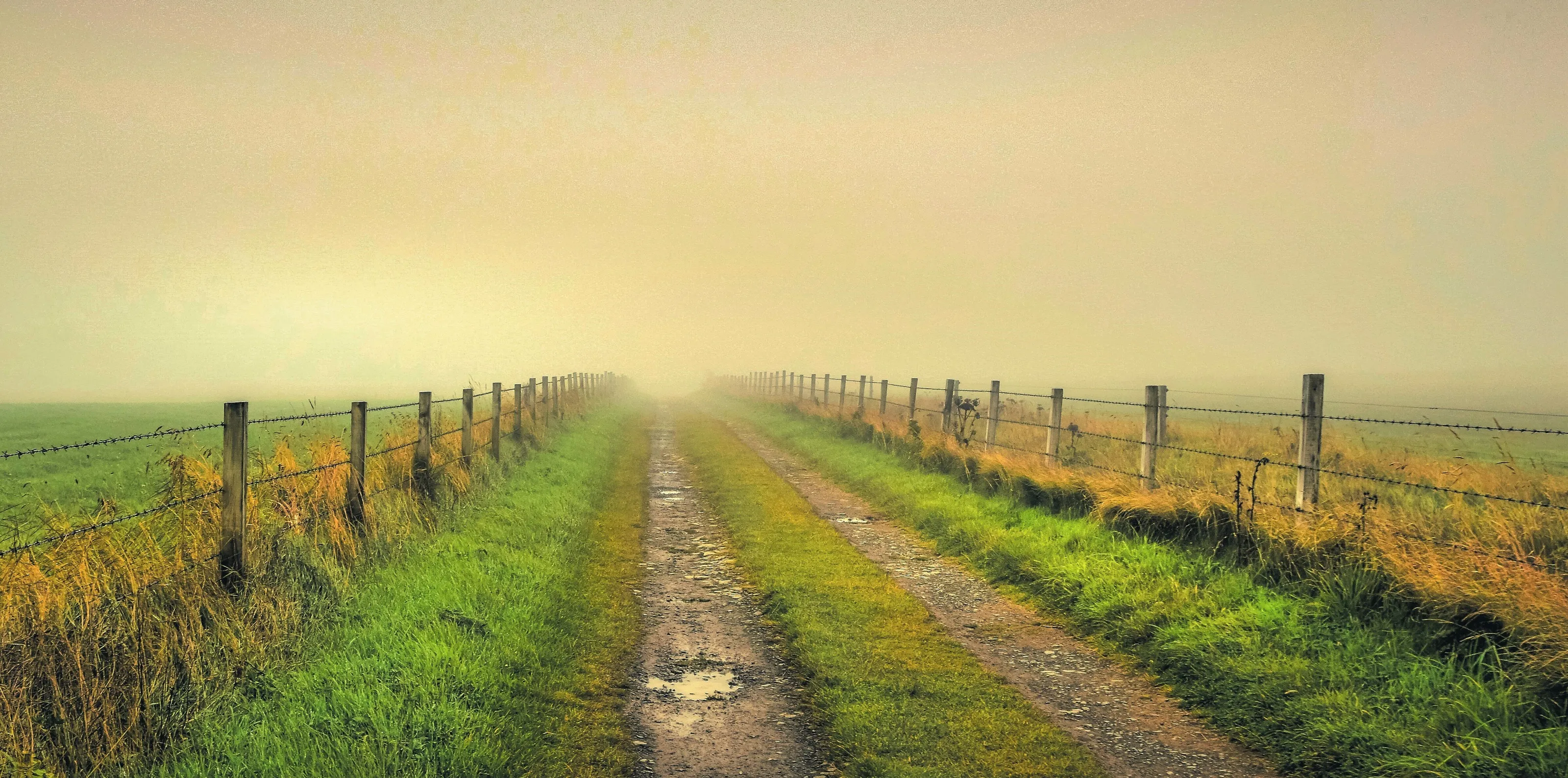 Orkney farm track