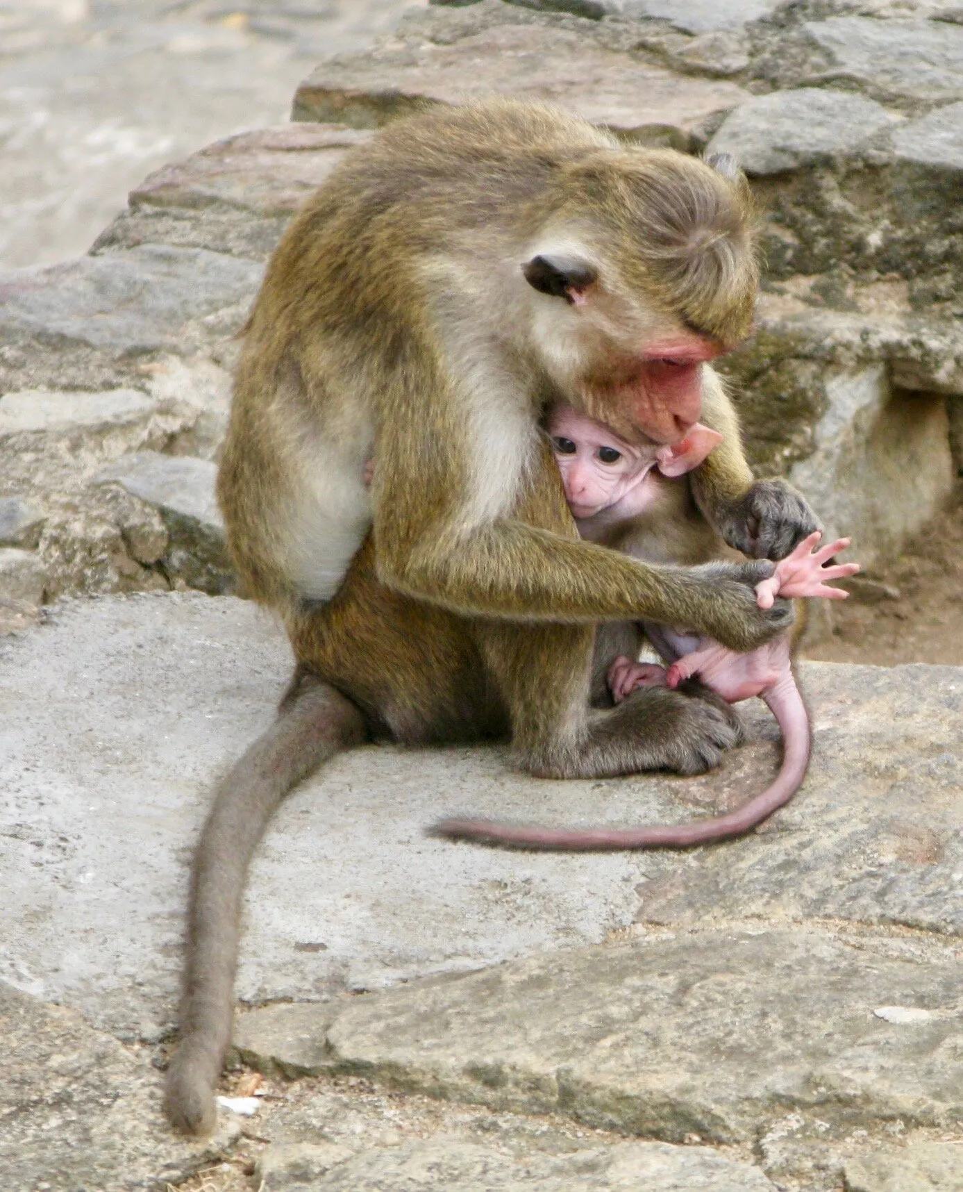 Motherhood