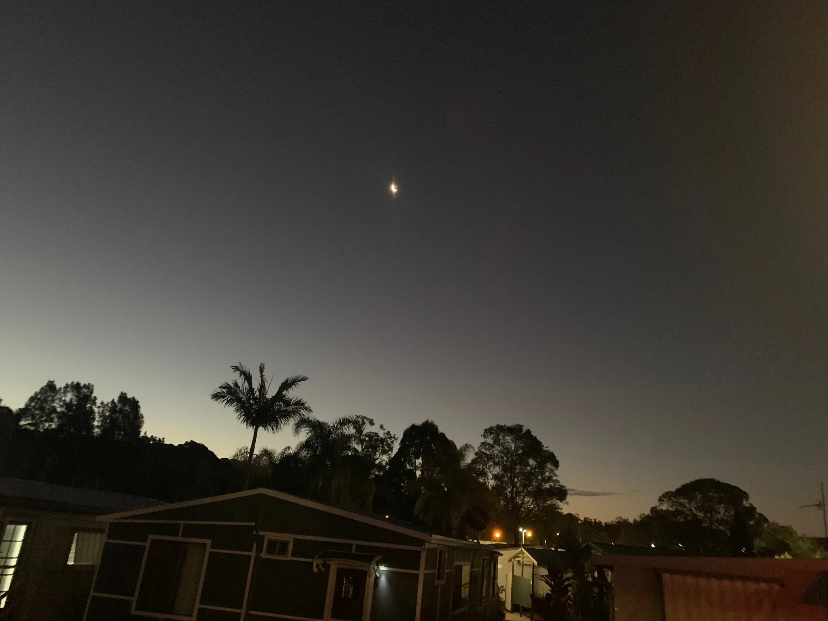 MOONLIT NIGHT.
