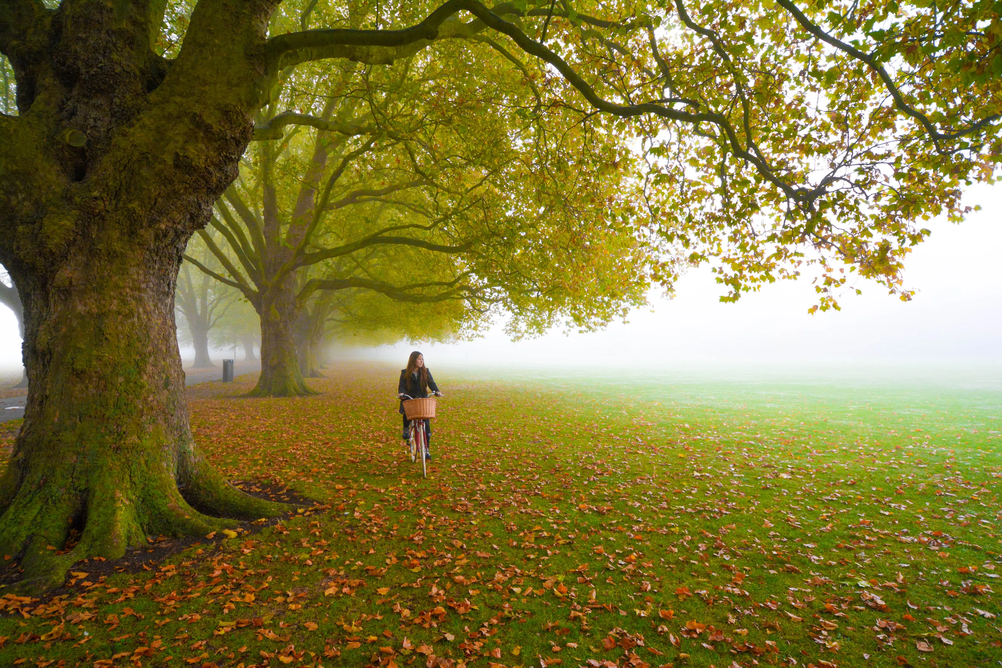 Foggy days turn Cambridge into a magical place