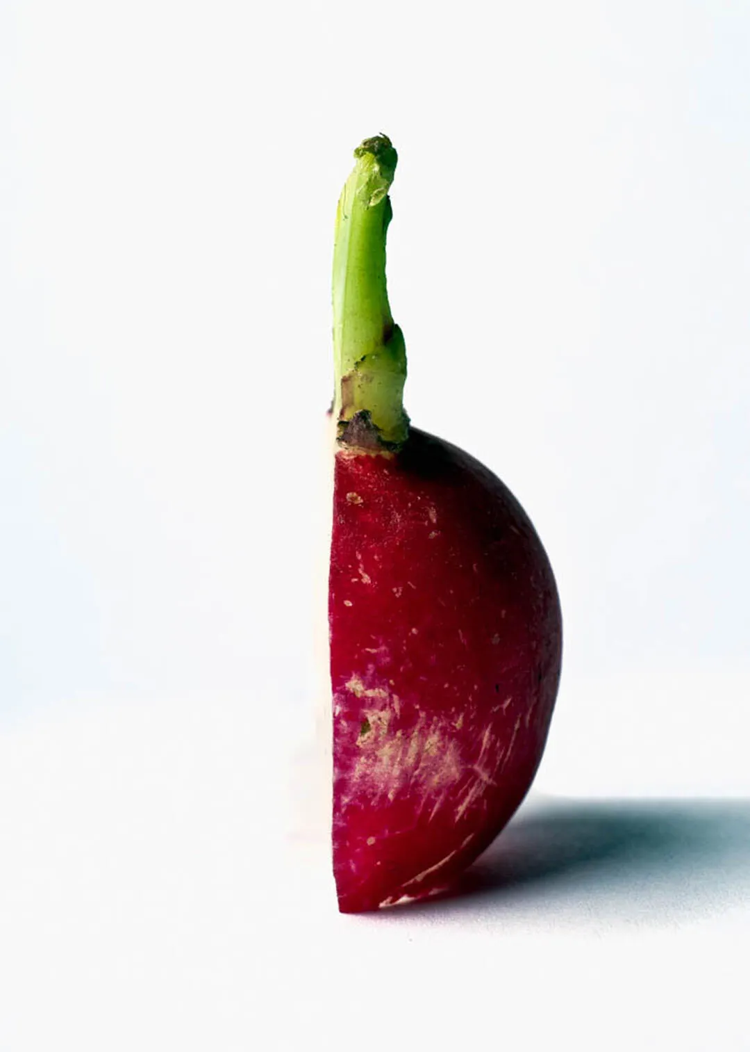 Radish