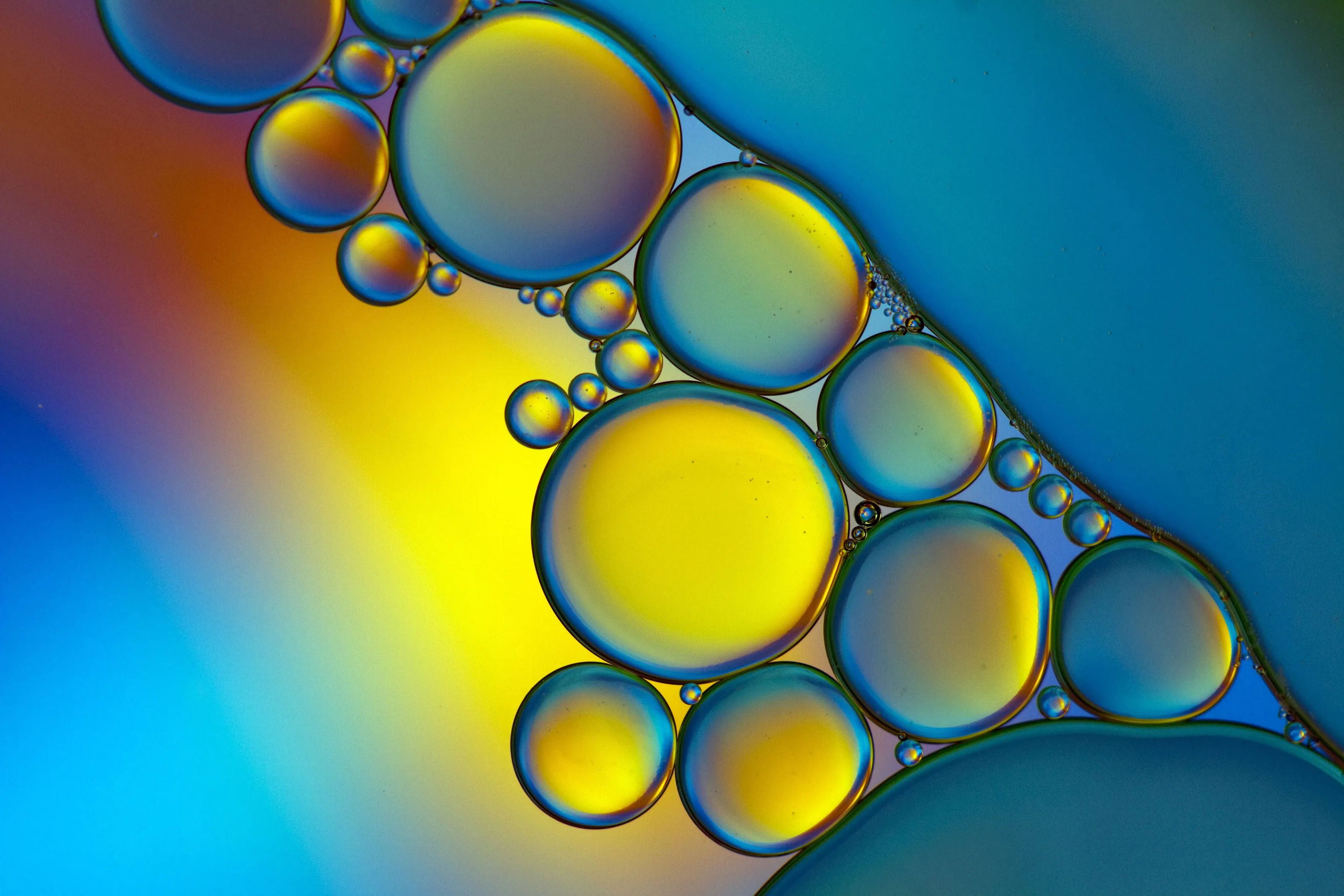 Bubble Up