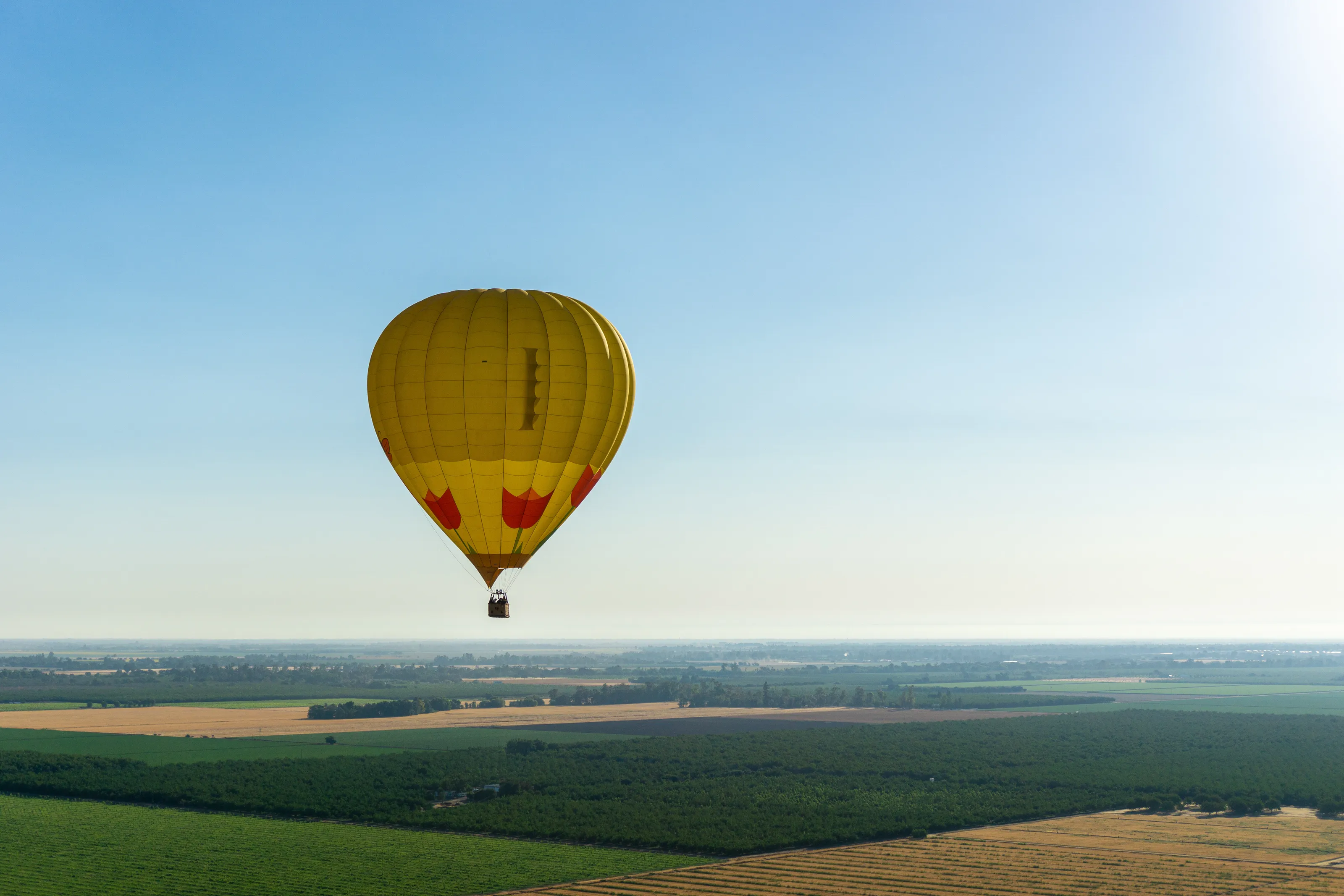 Horizon Flight