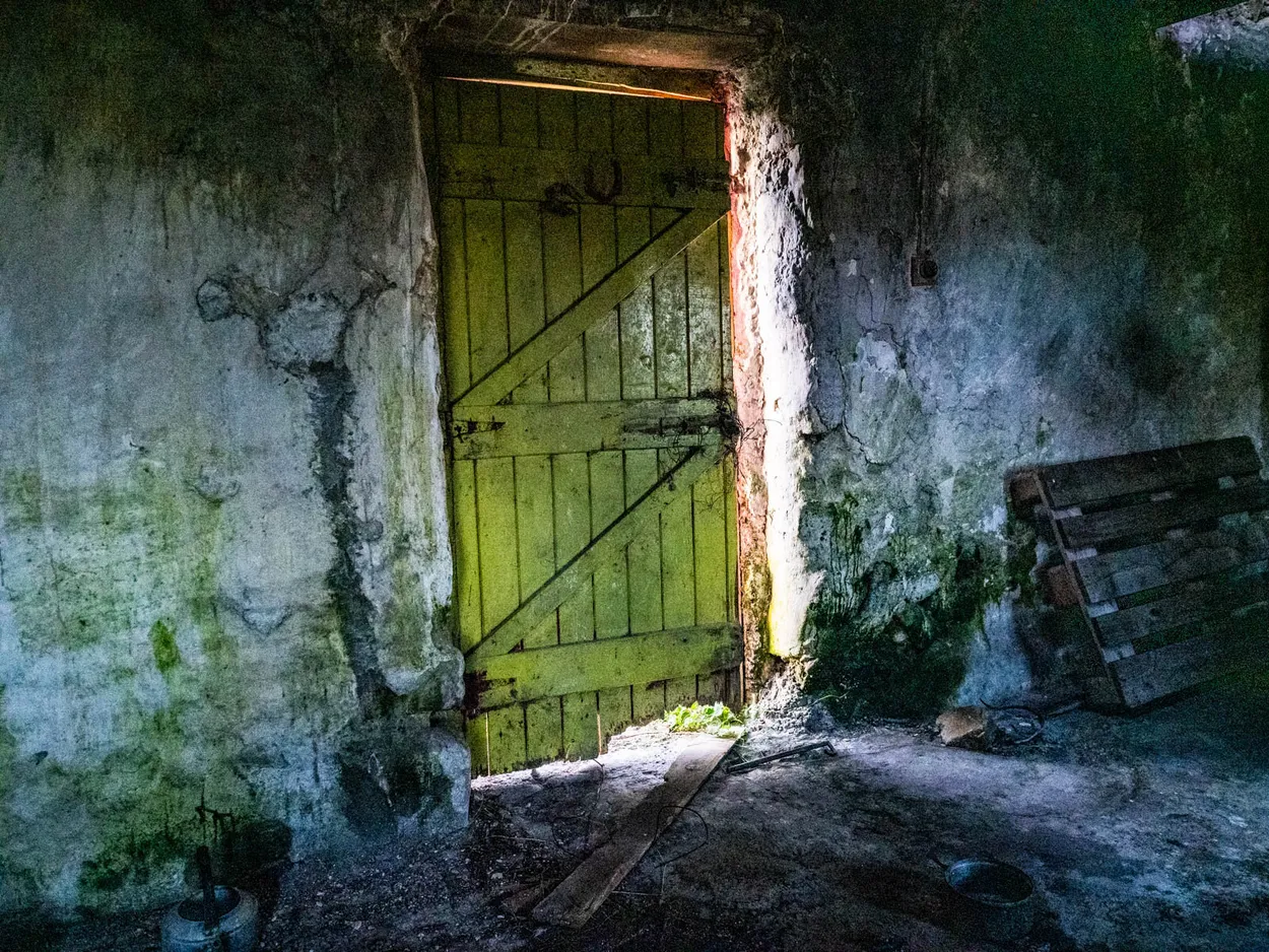 Entry 23406335