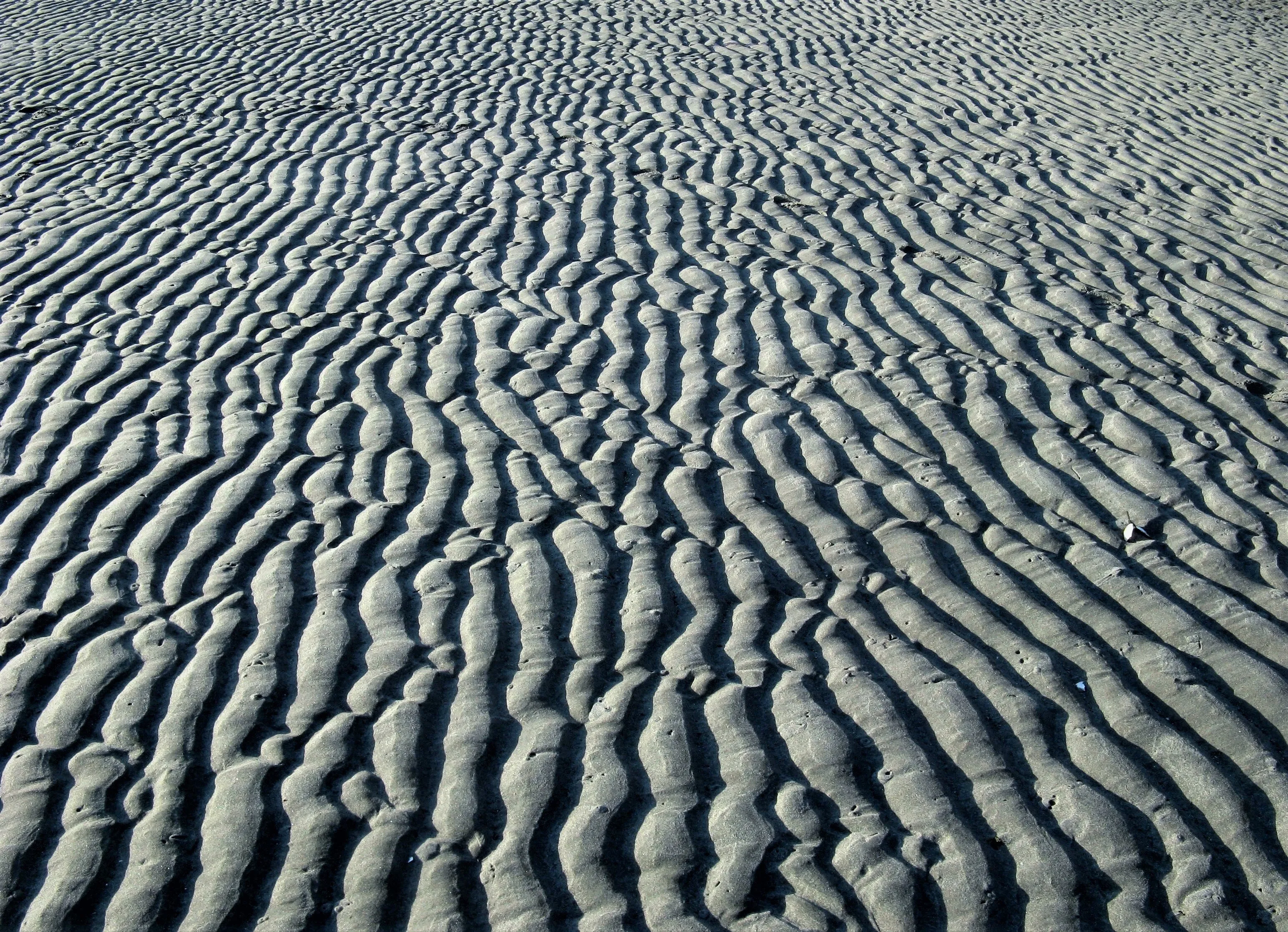 Nature's Design