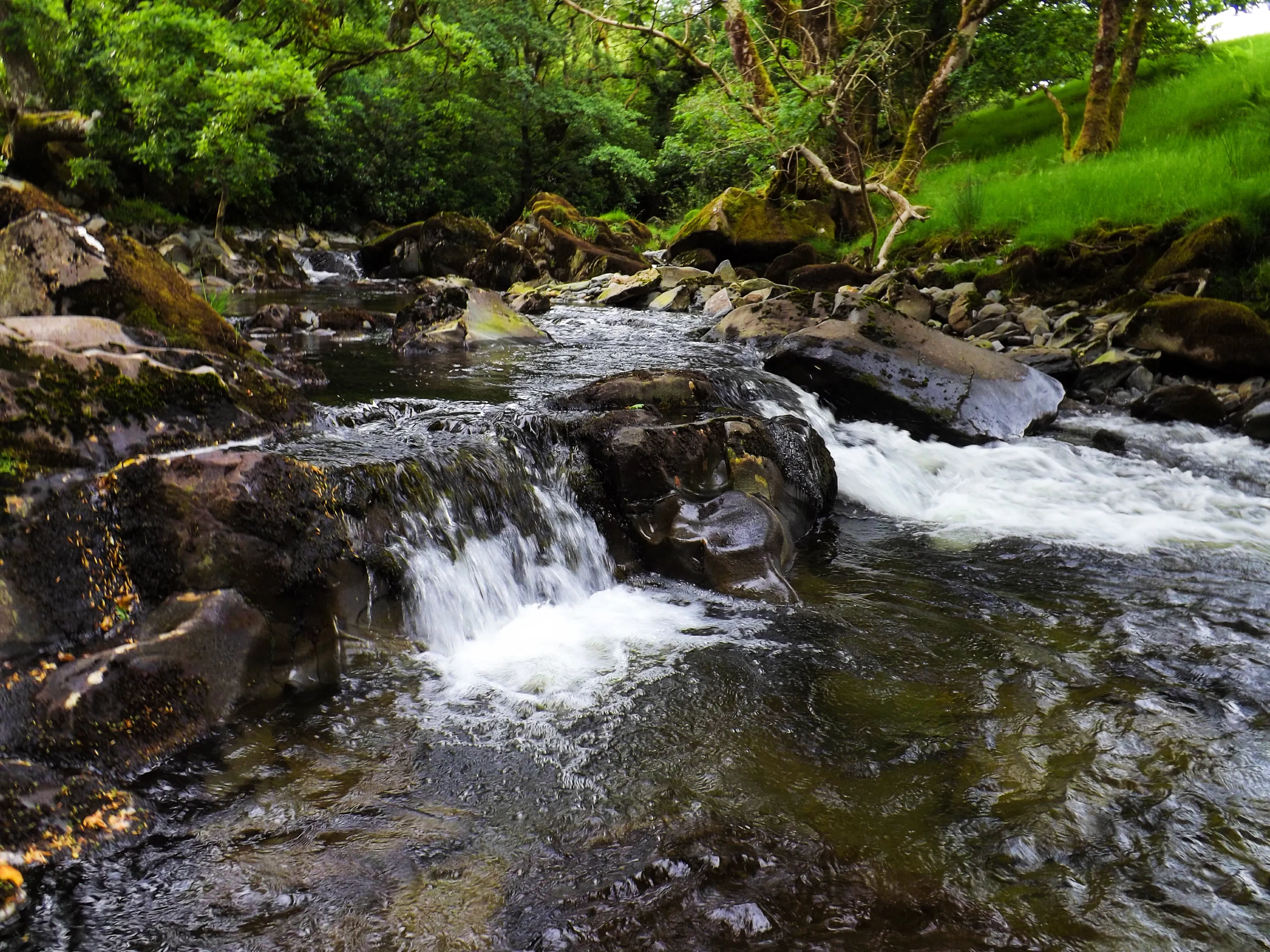 Rocky river in Beddgelert