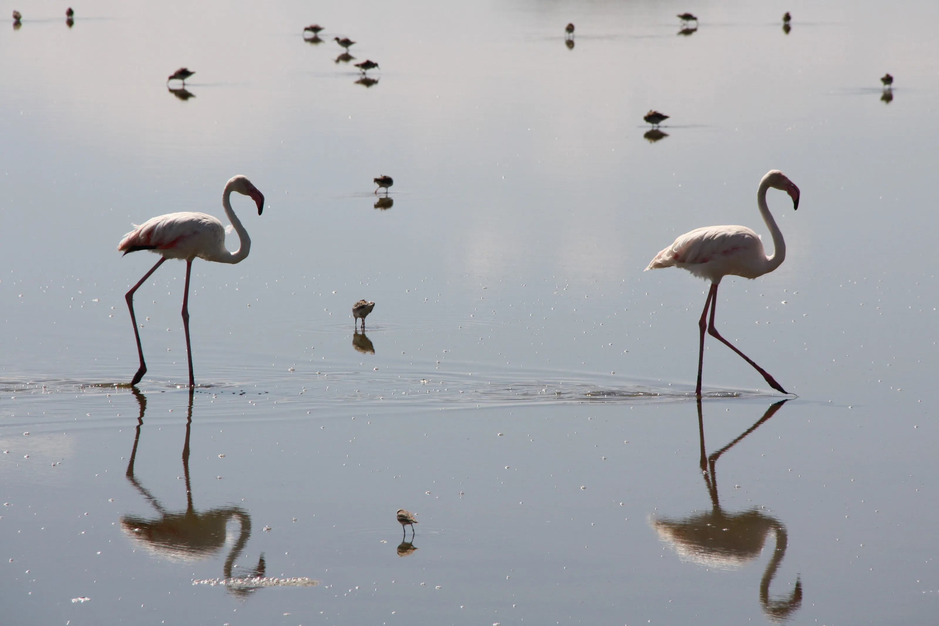 Reflective stroll