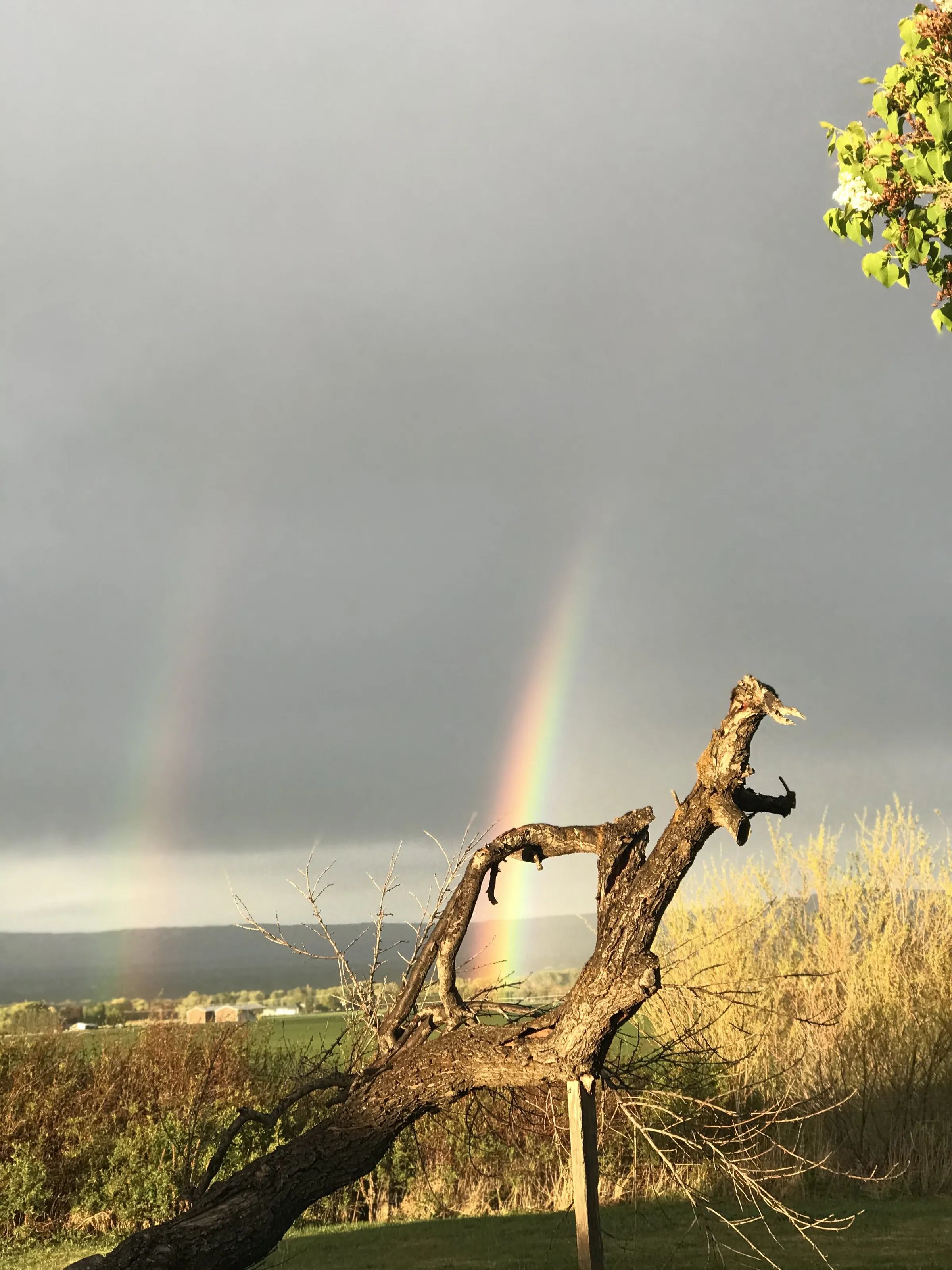 Pot of gold