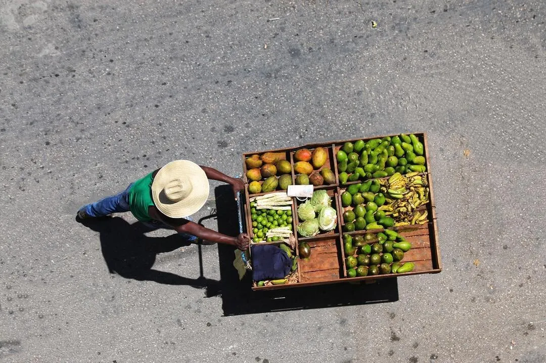 Fruit For Sale