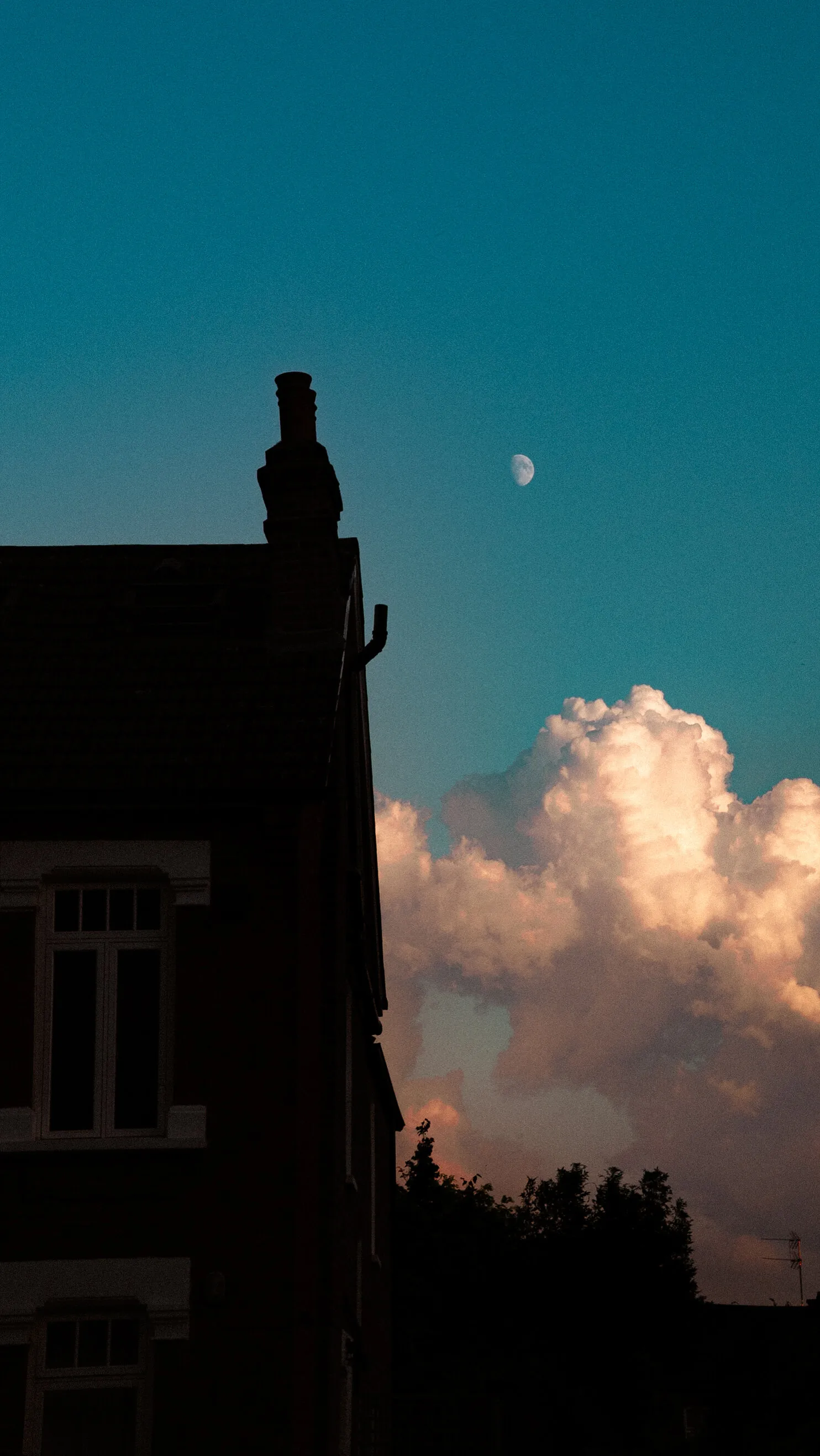 Before Dark