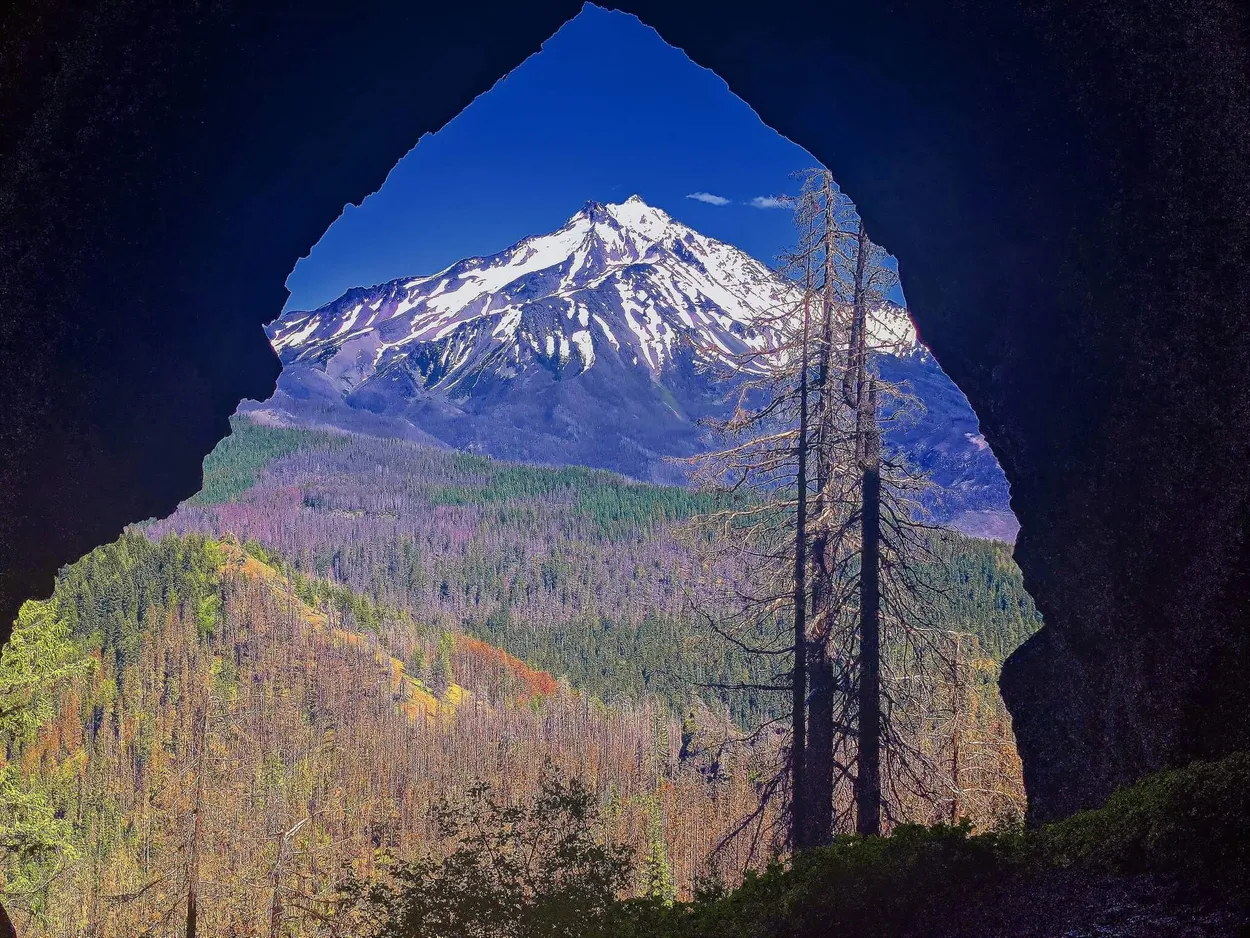 Entry 10140545