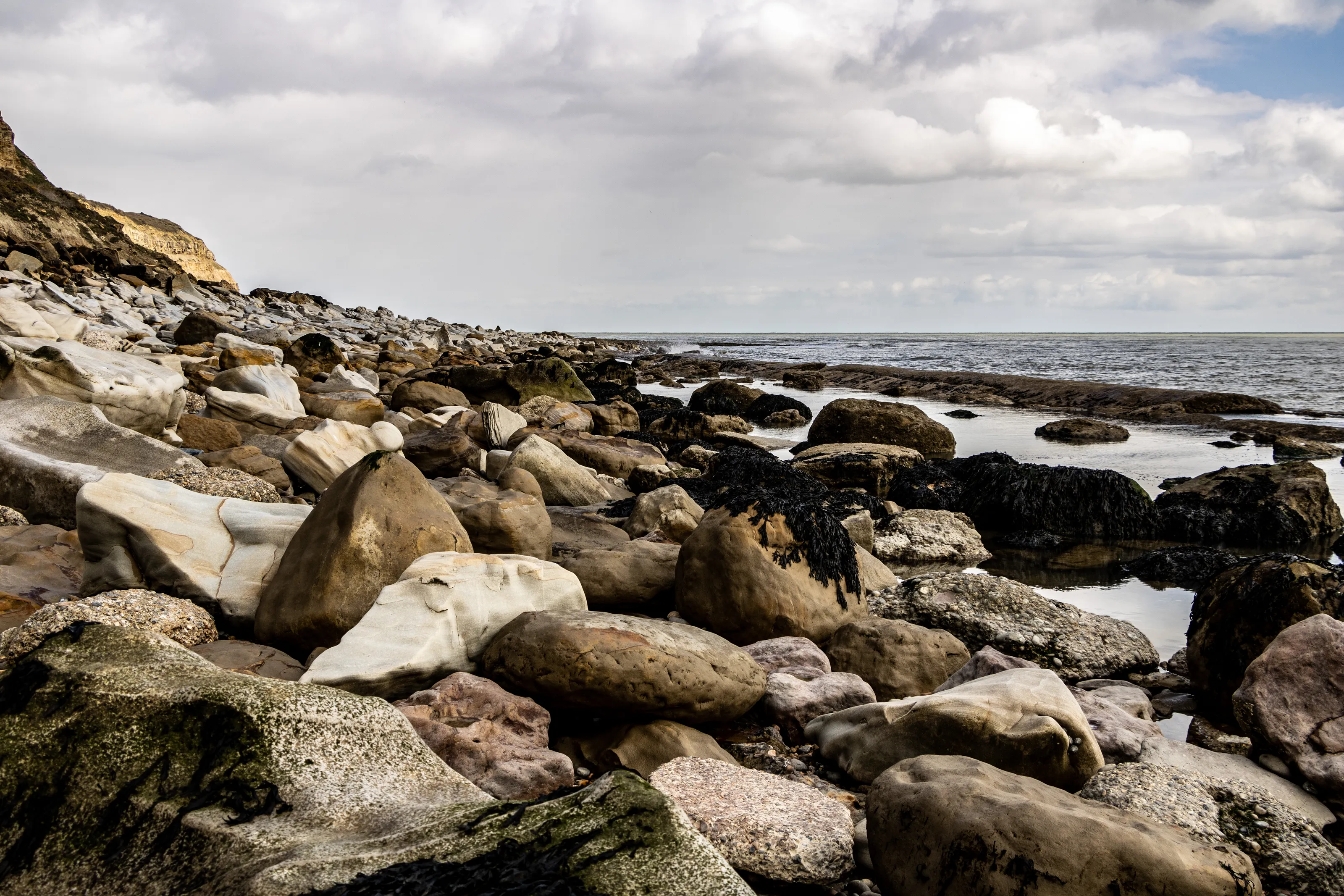 Rocky shore