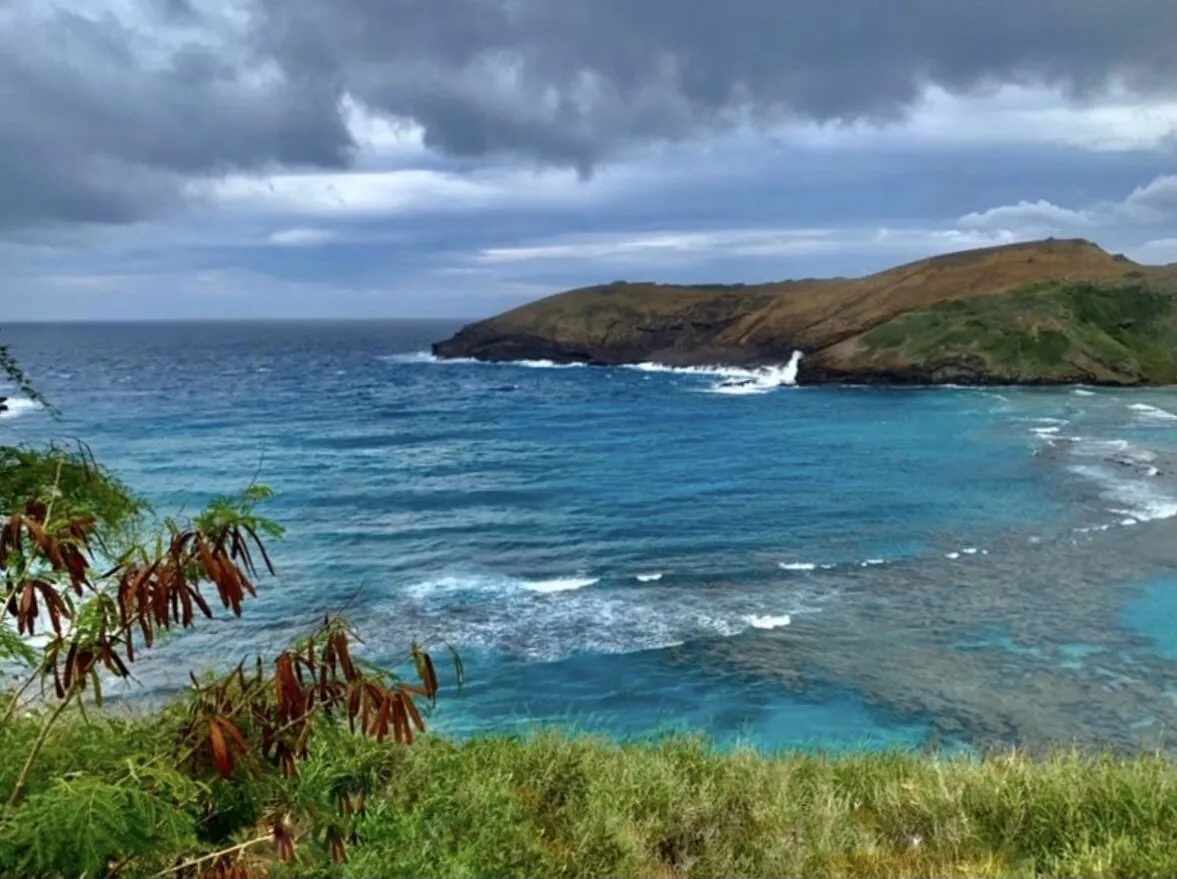 Bleu Hawaii