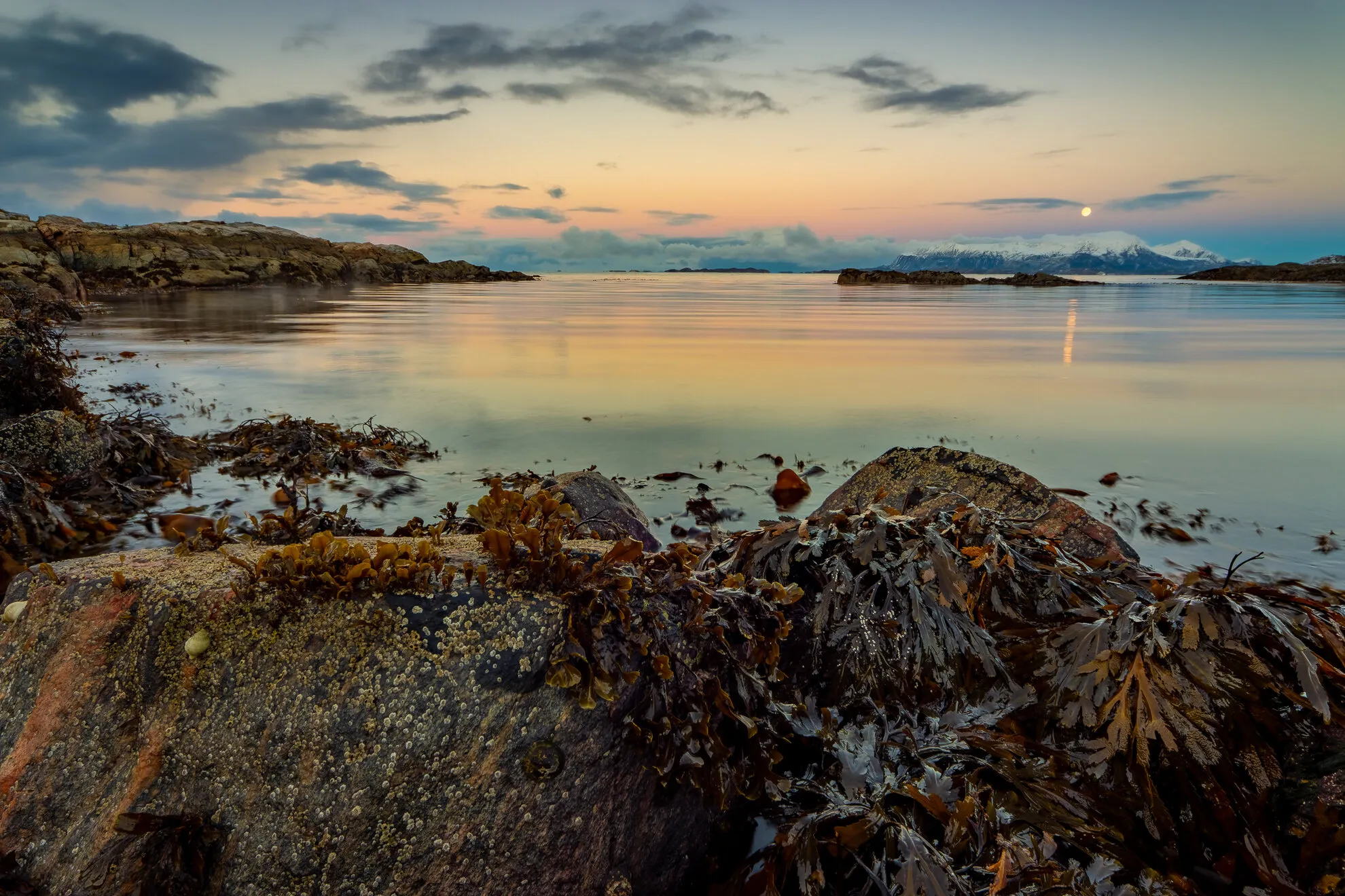 Moonrise  sunset