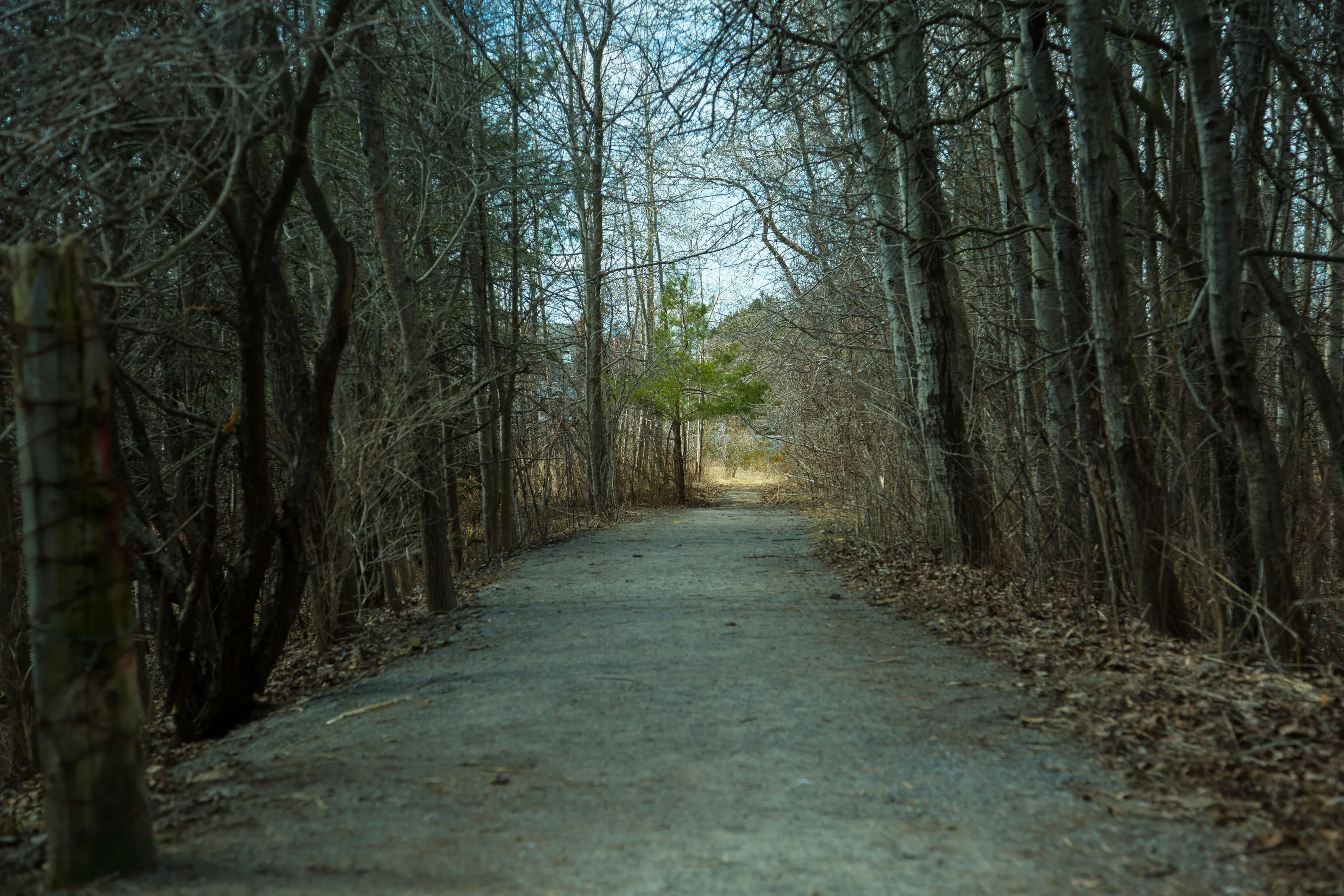 the dark path to success