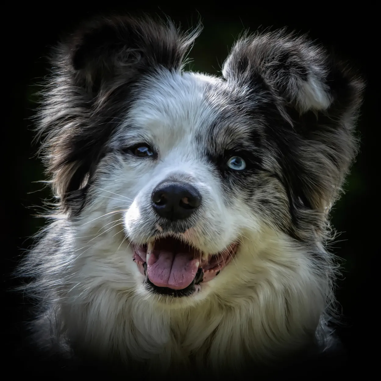 Entry 10208006