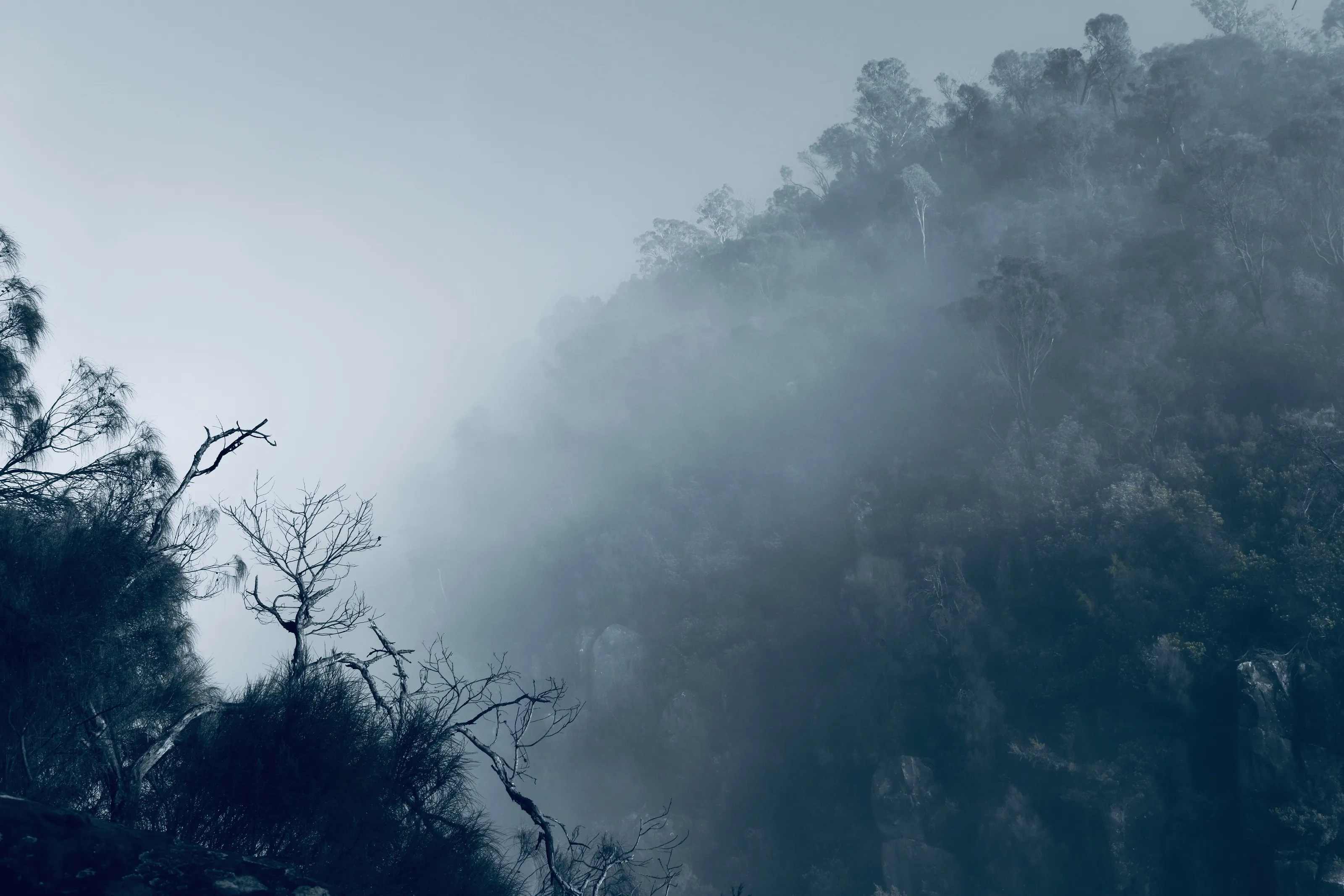 Cataract Gorge