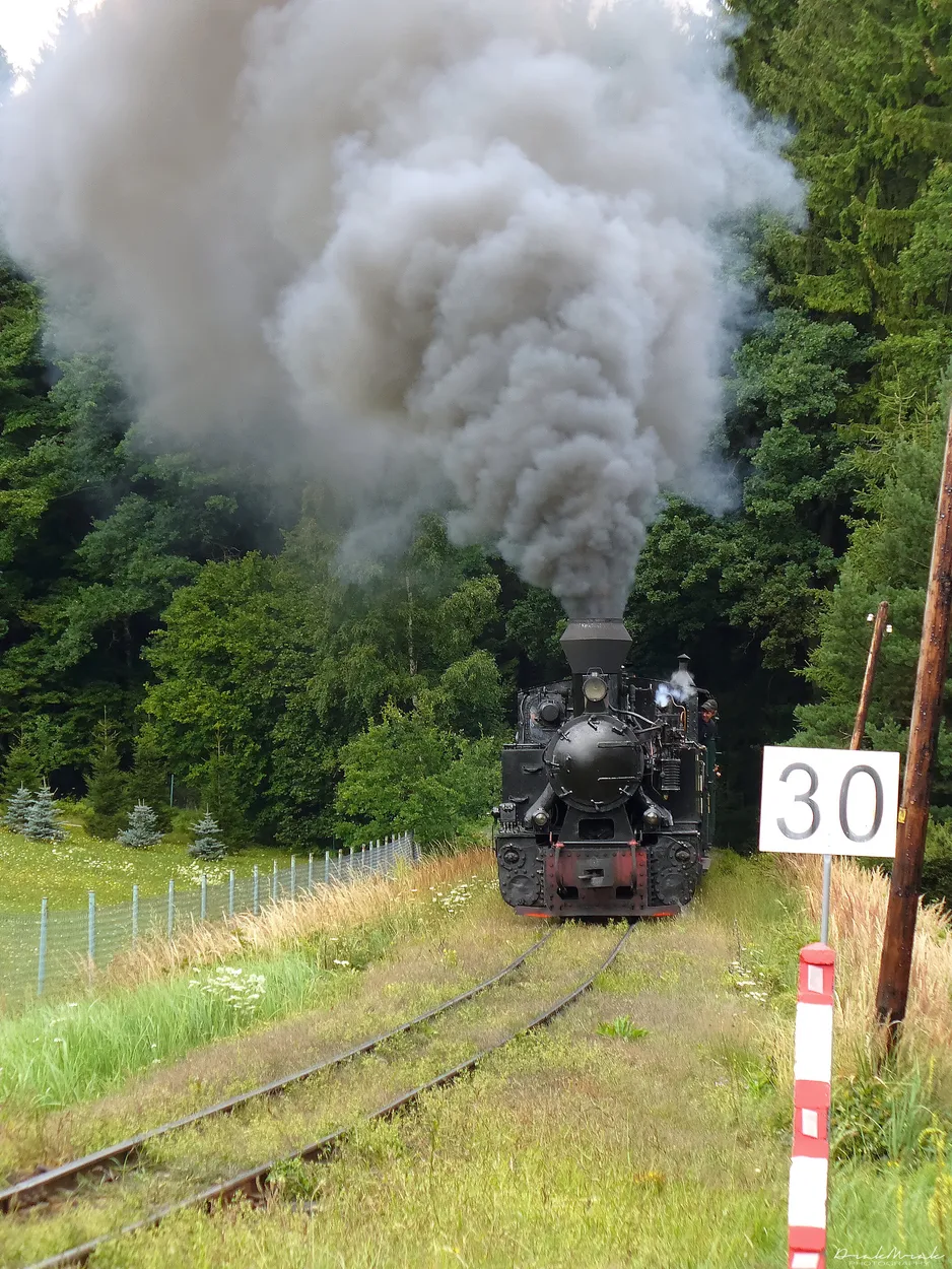 Entry 10242430