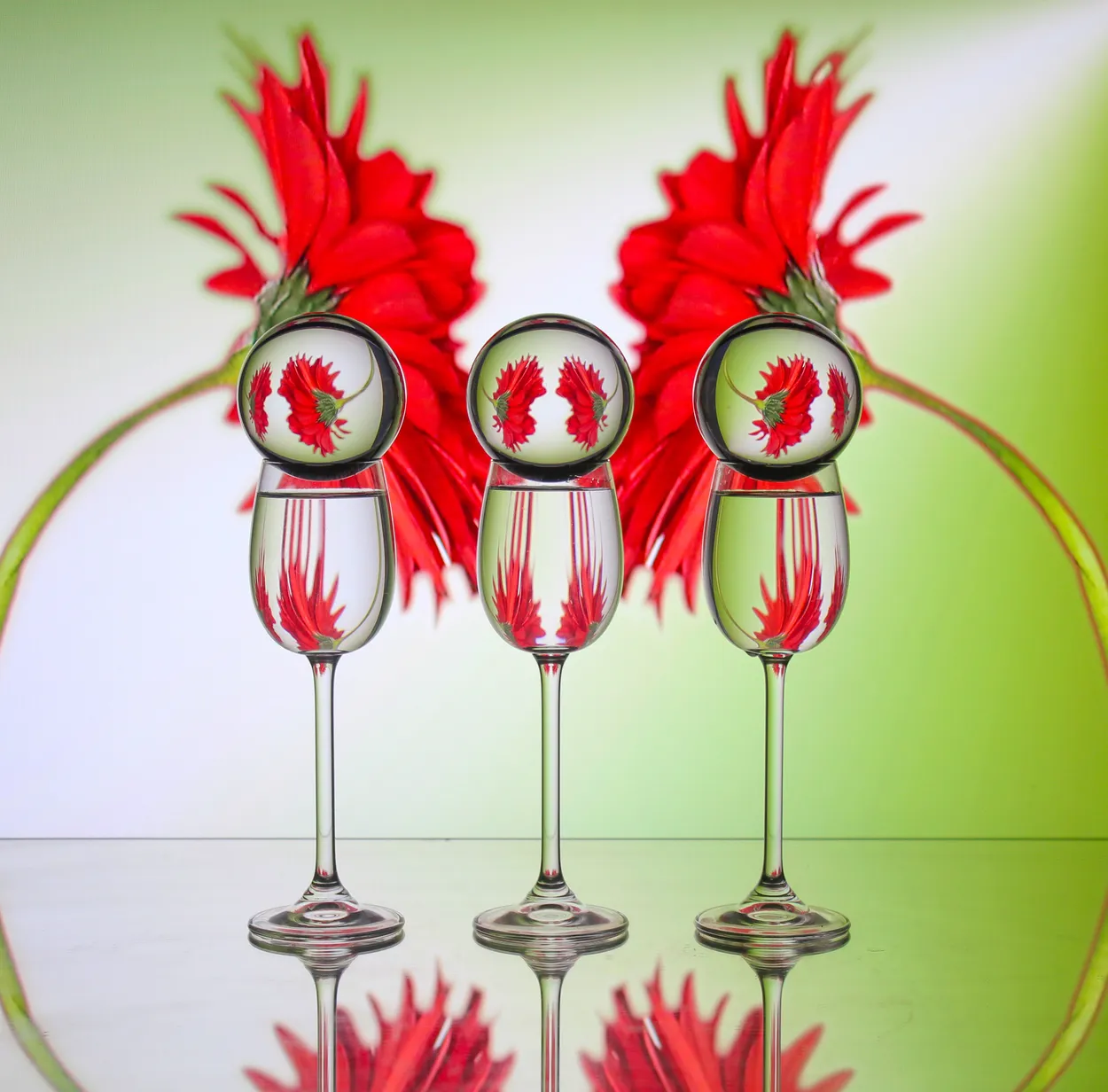 glam glass- showing face