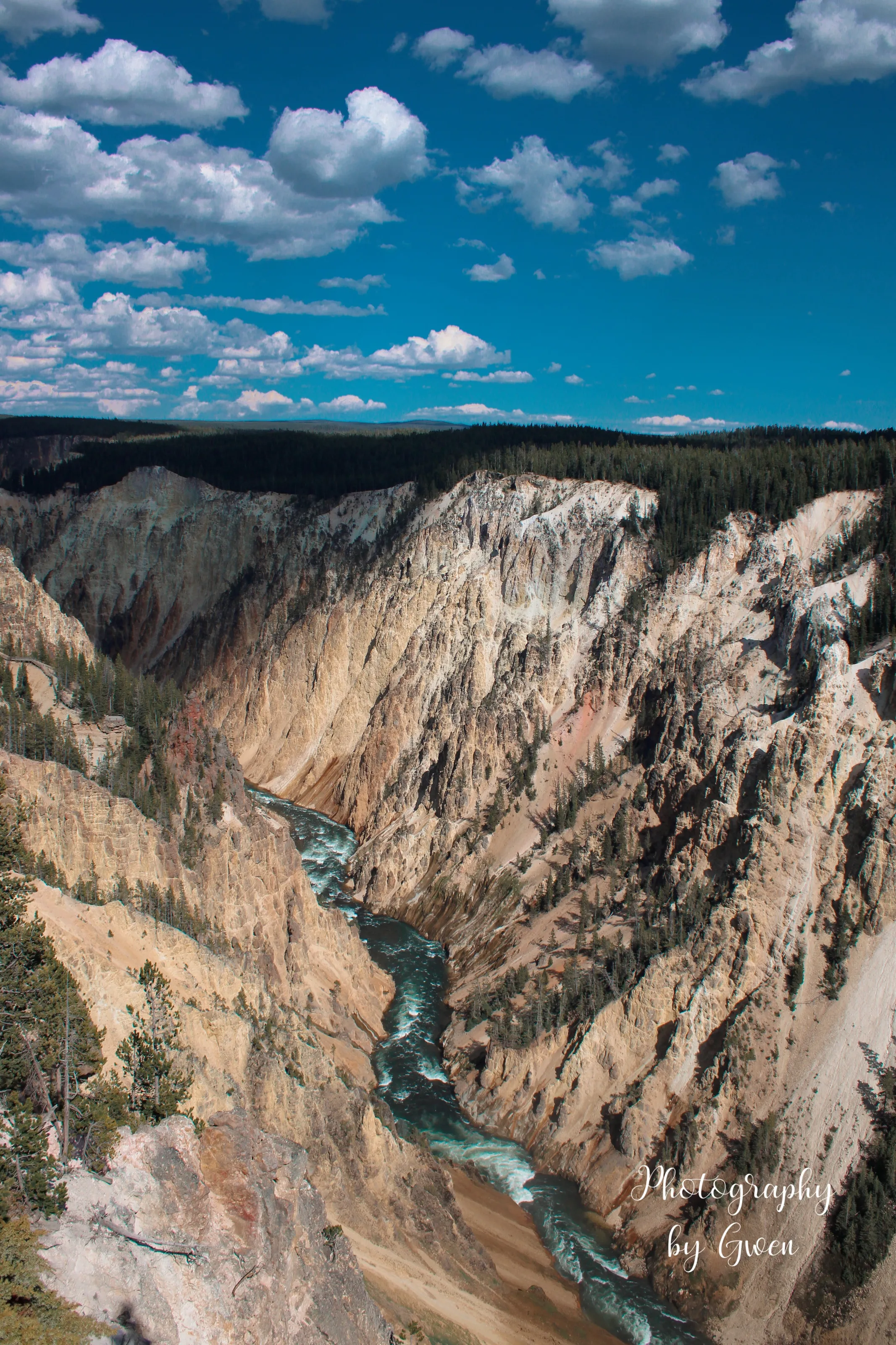 Grand Canyon of Yellowstone