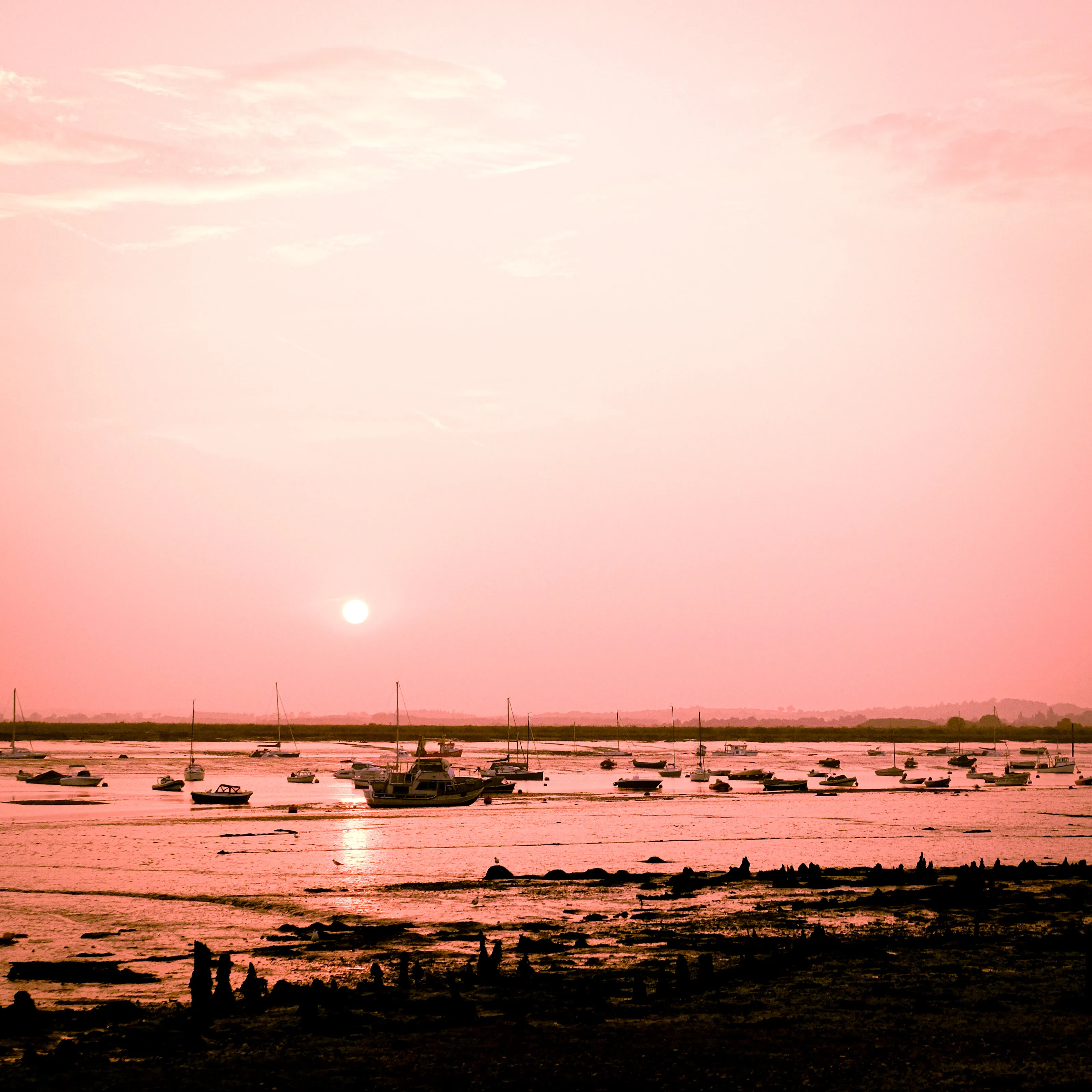 “Pink Sunset”