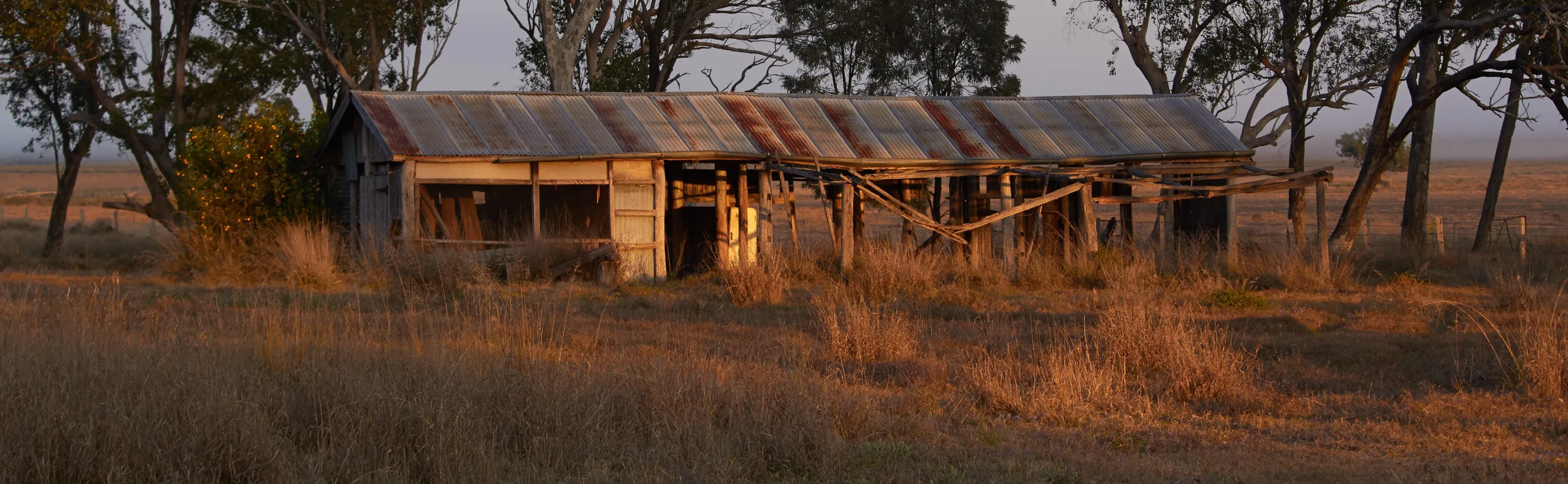 The old milking shed