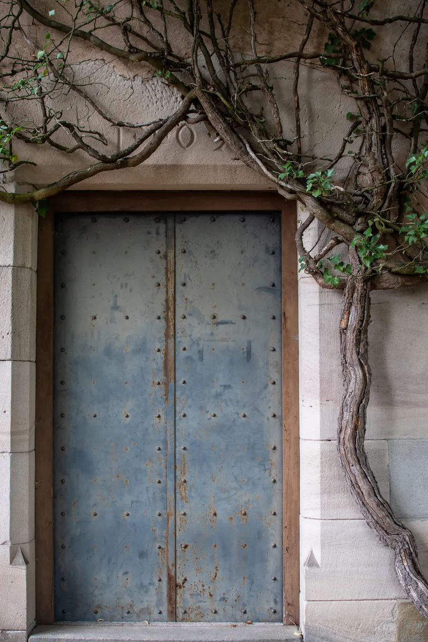 Entry 10186521