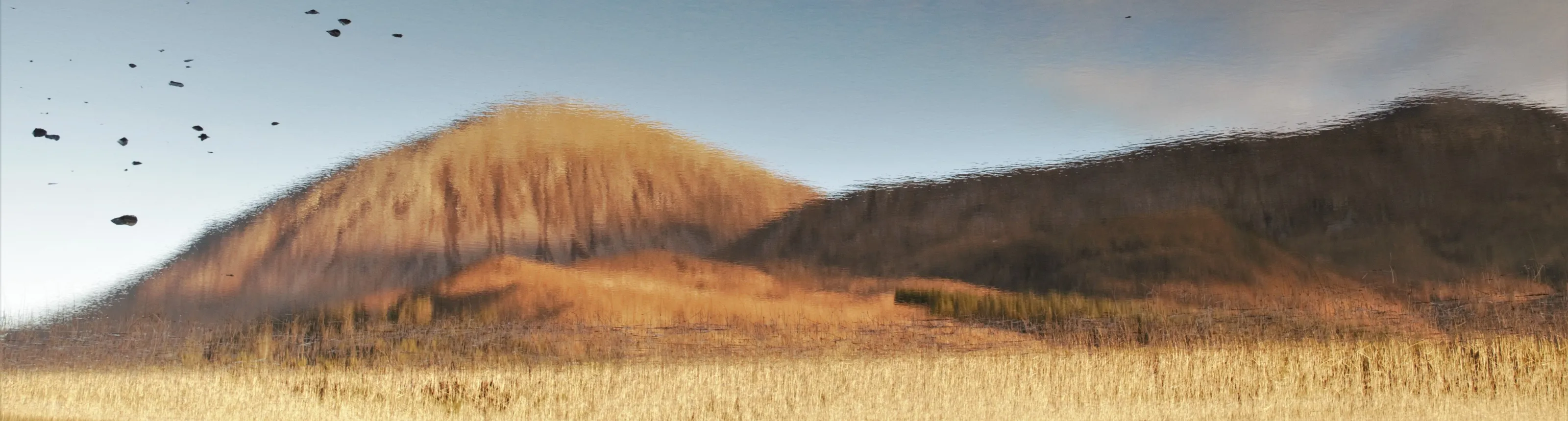 Banner image