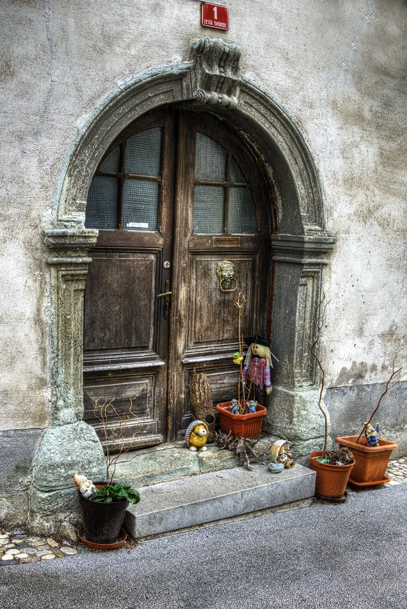 Entry 11106704
