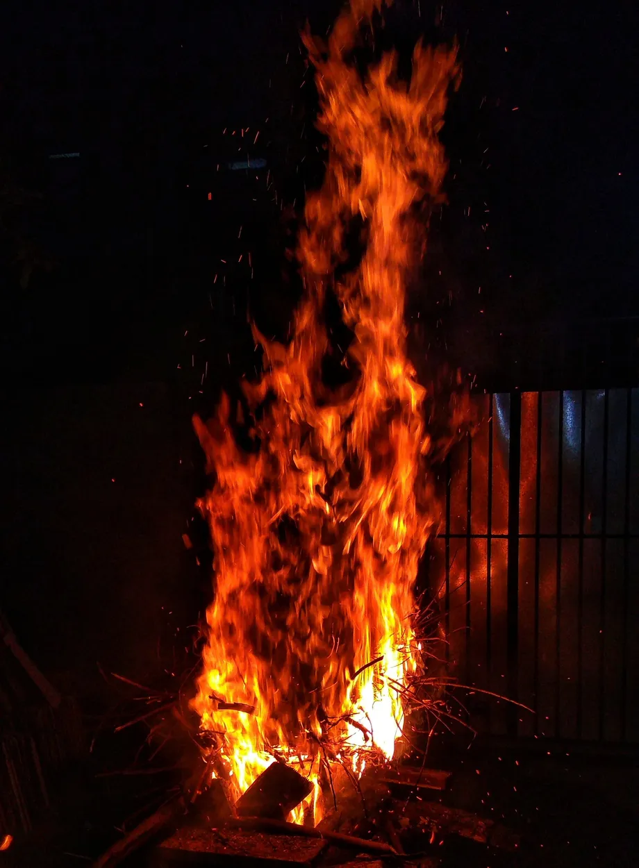 Entry 11540256