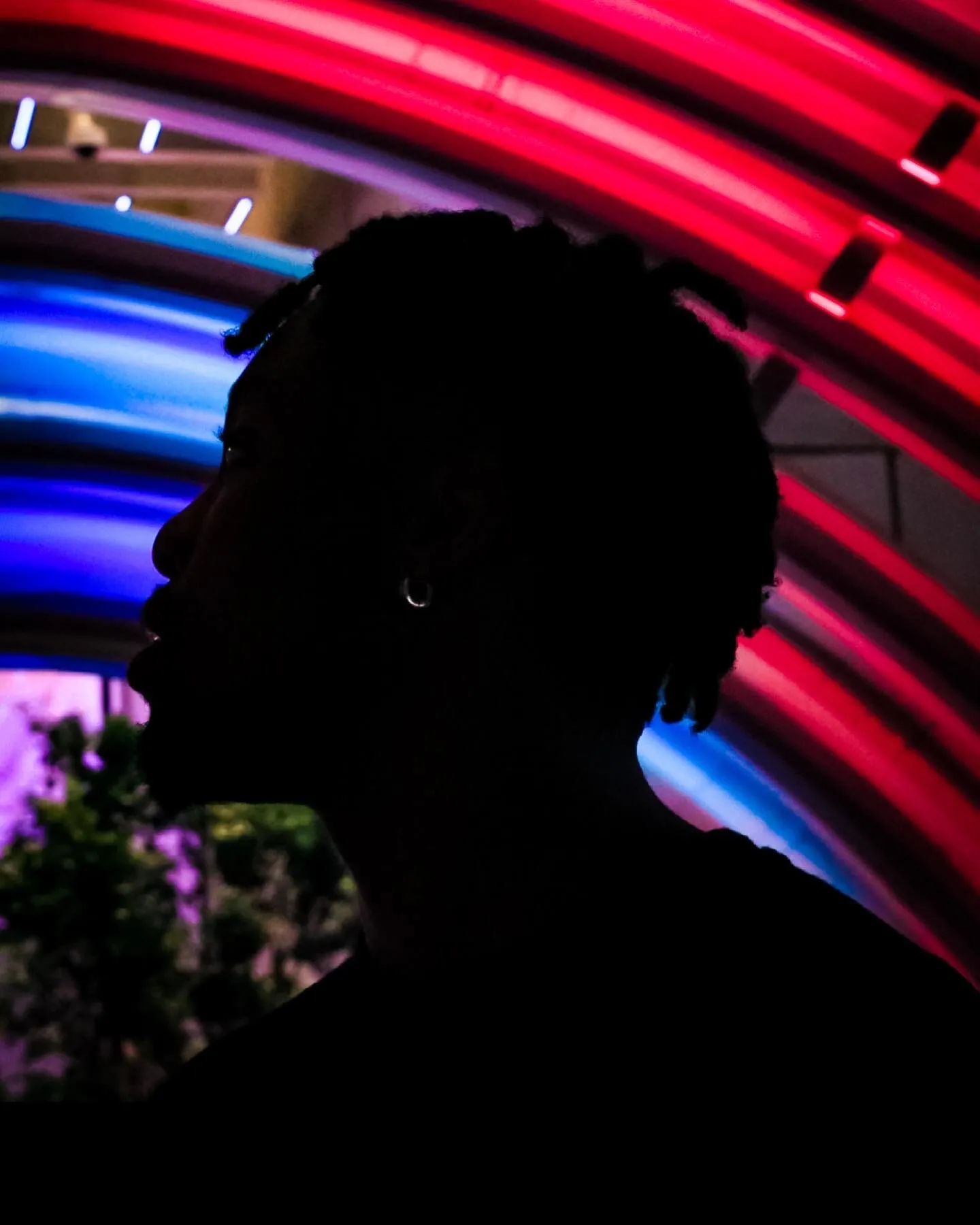 Wondering Lights