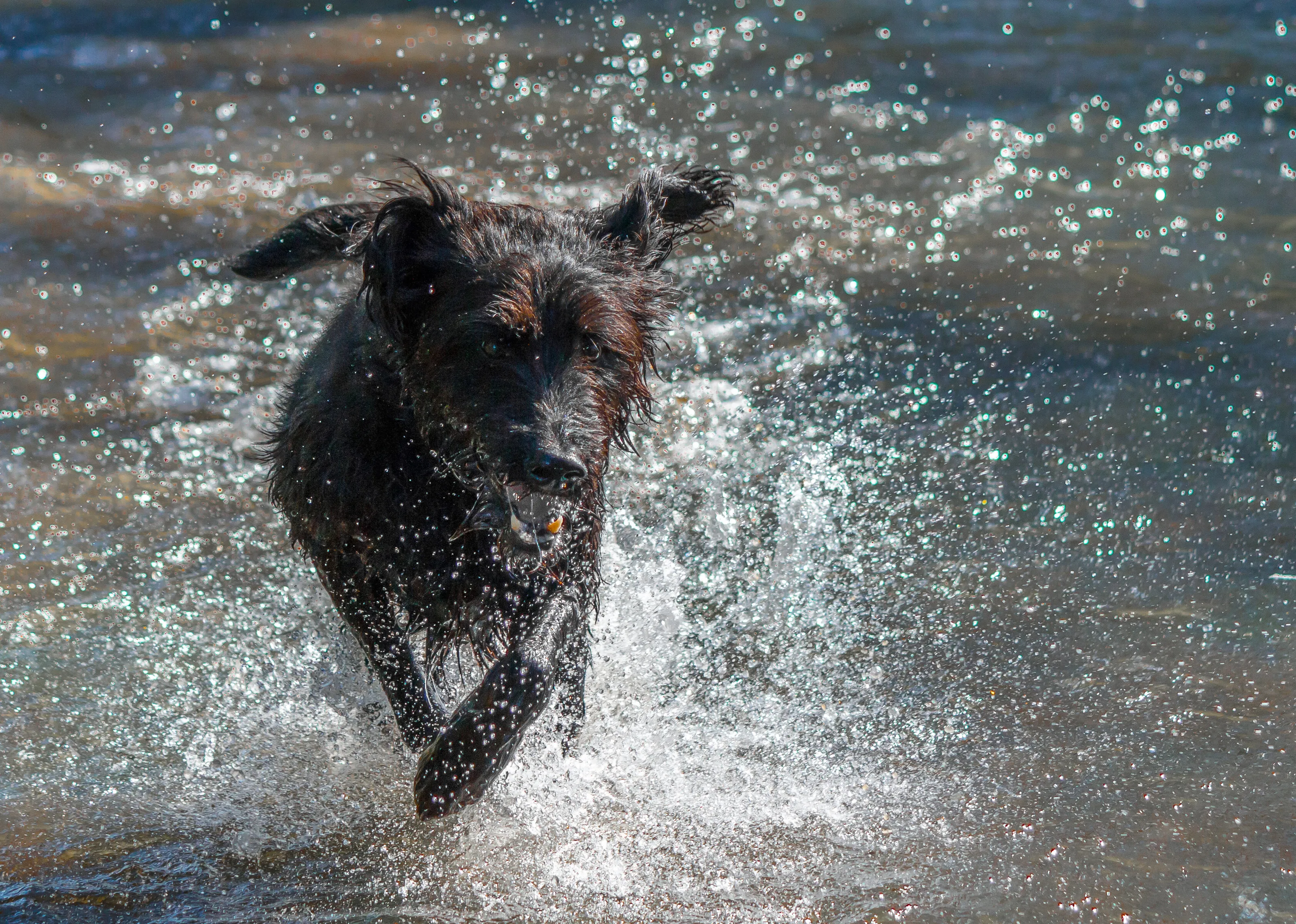Walking on water