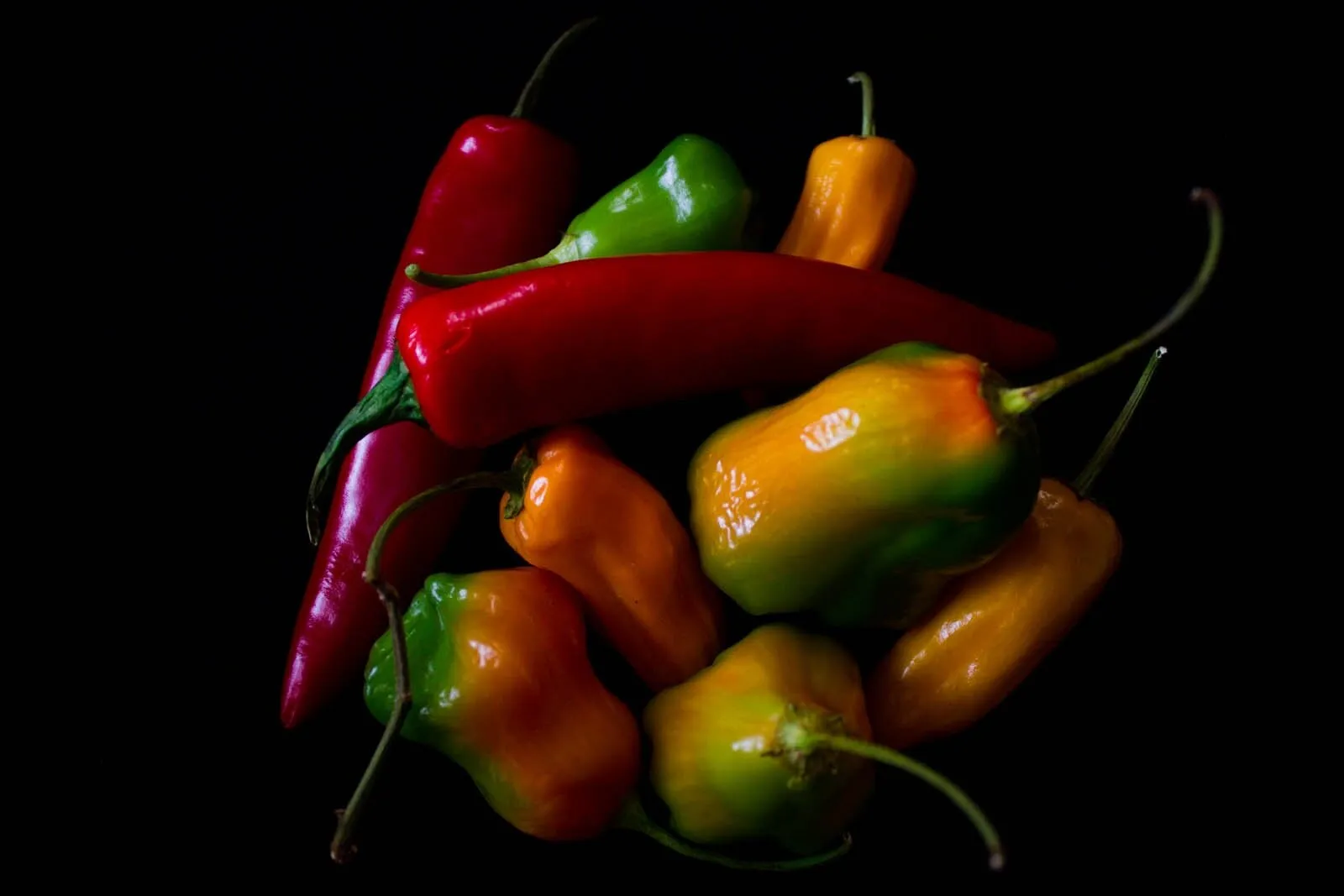 Red Hot Chilli Peppers