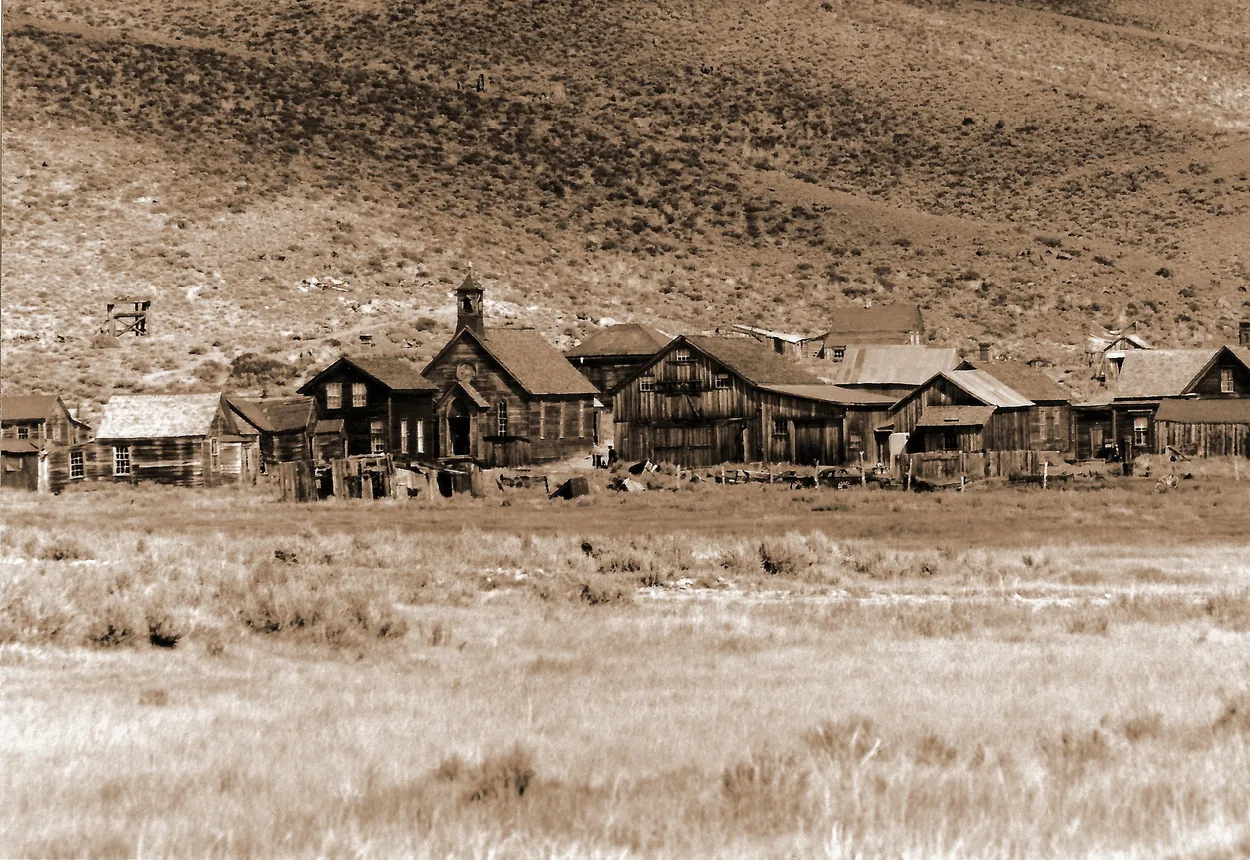 Entry 10200686