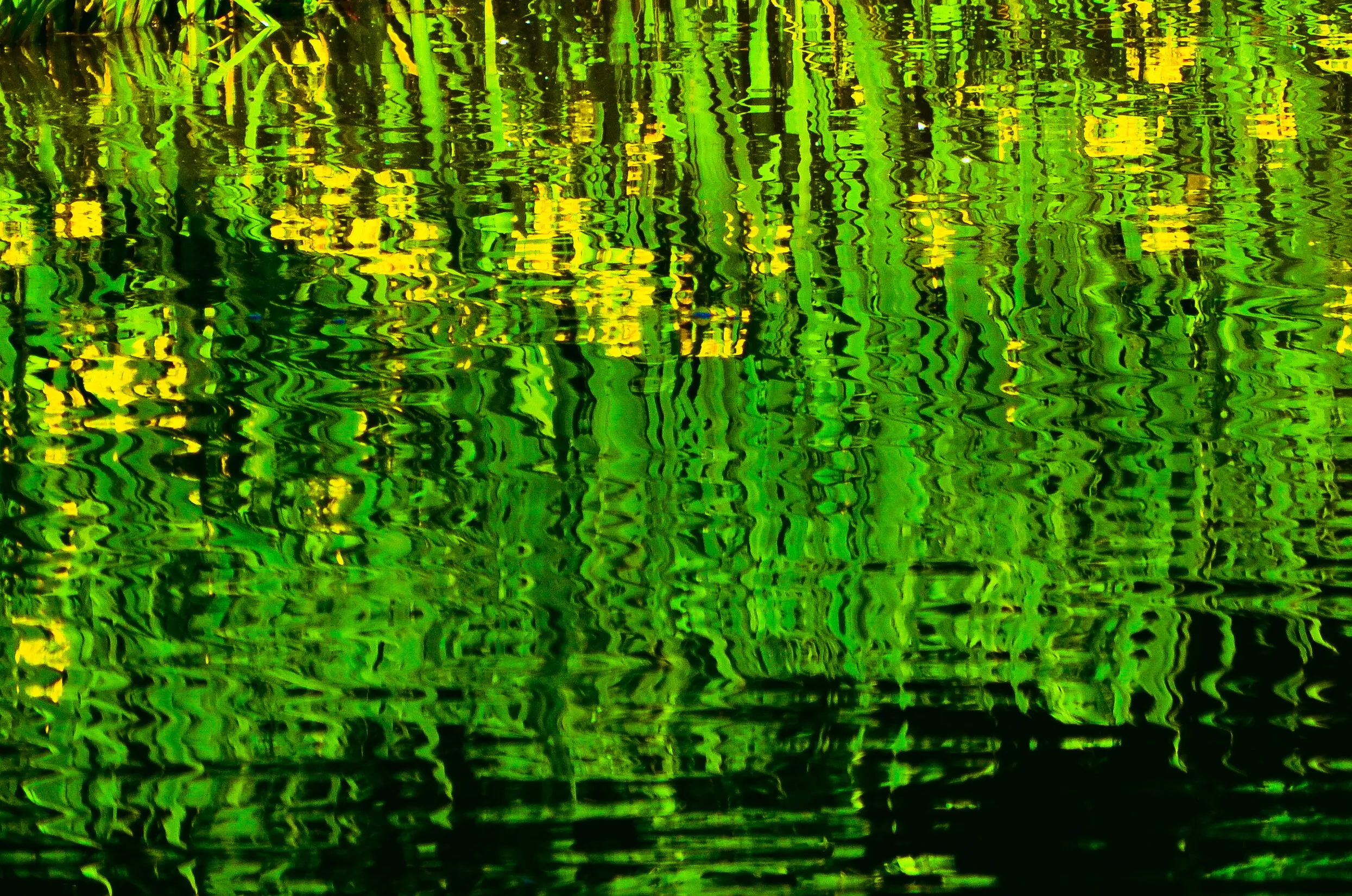 Reflecting on Irises