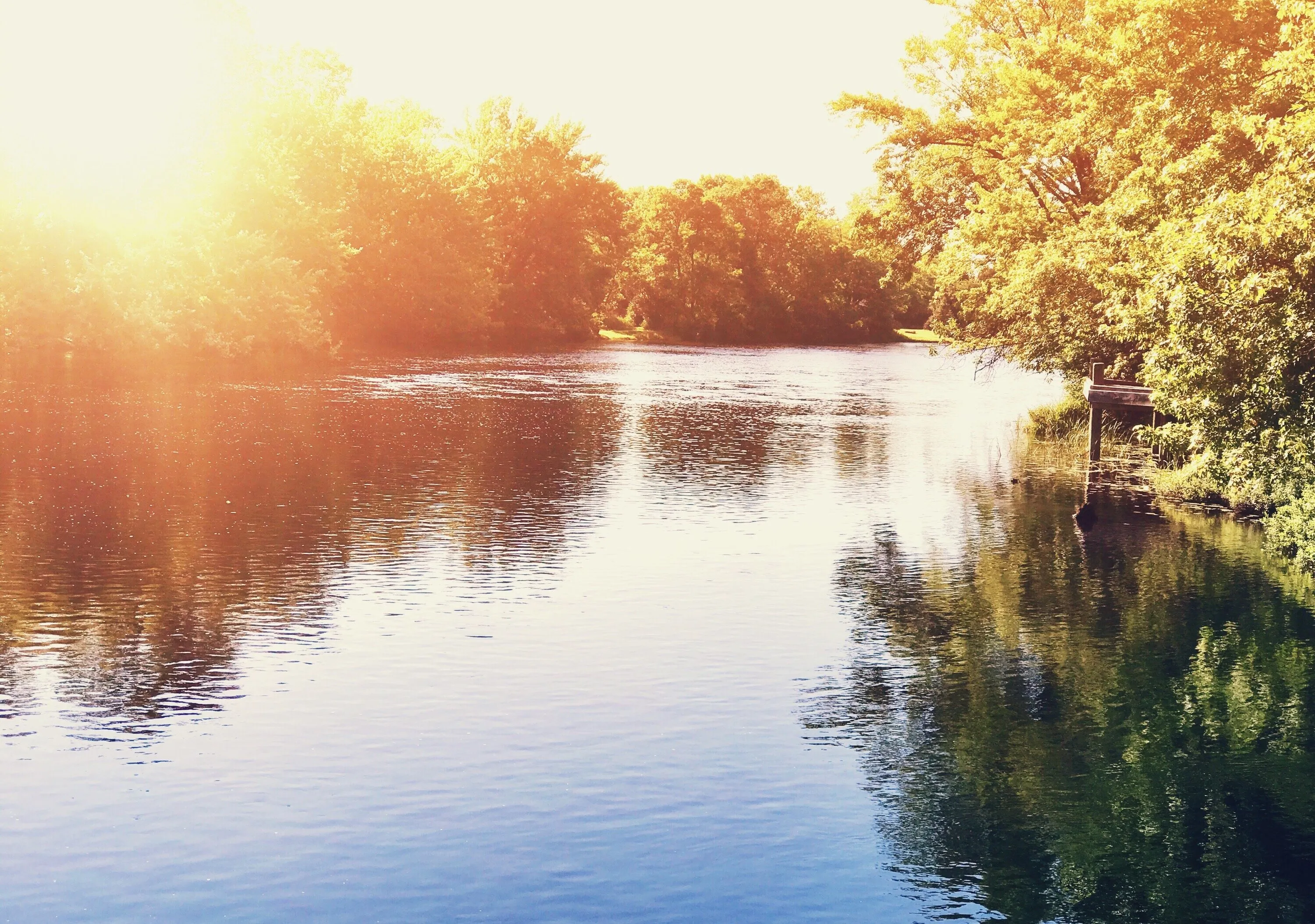 Banner image
