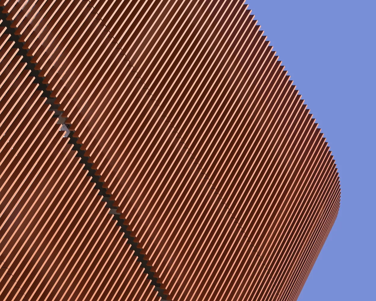 Entry 26013750