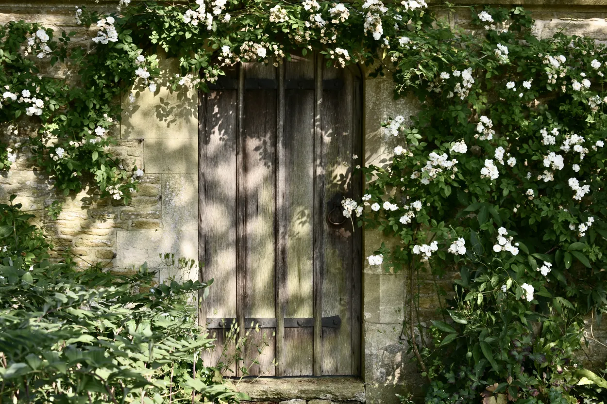 Entry 10206226