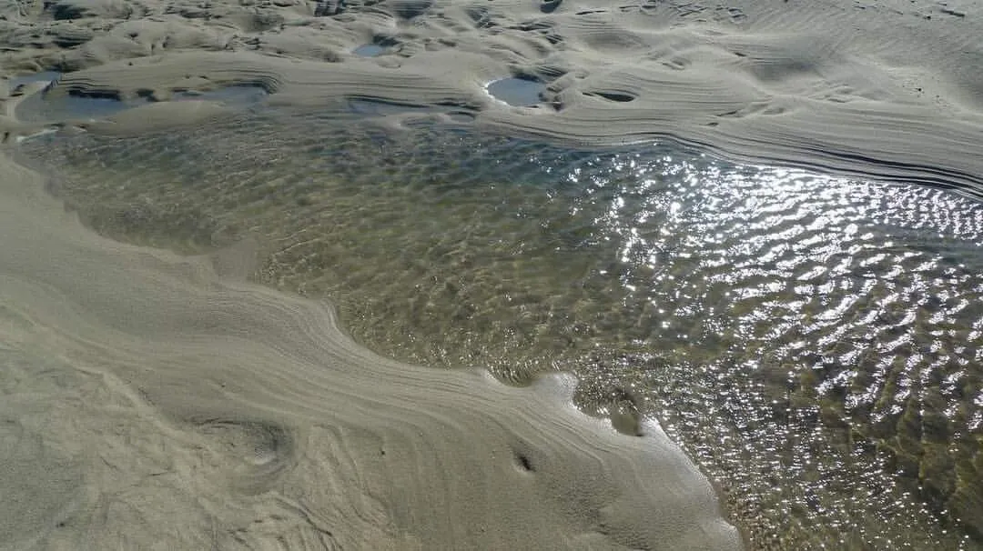 Wellfleet Tidepools