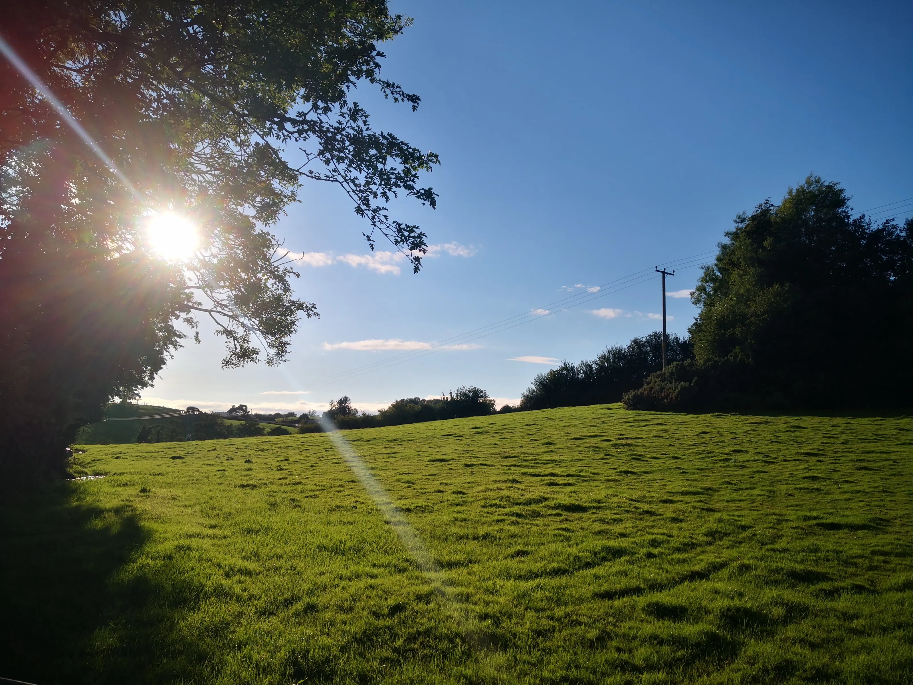 Sunlight