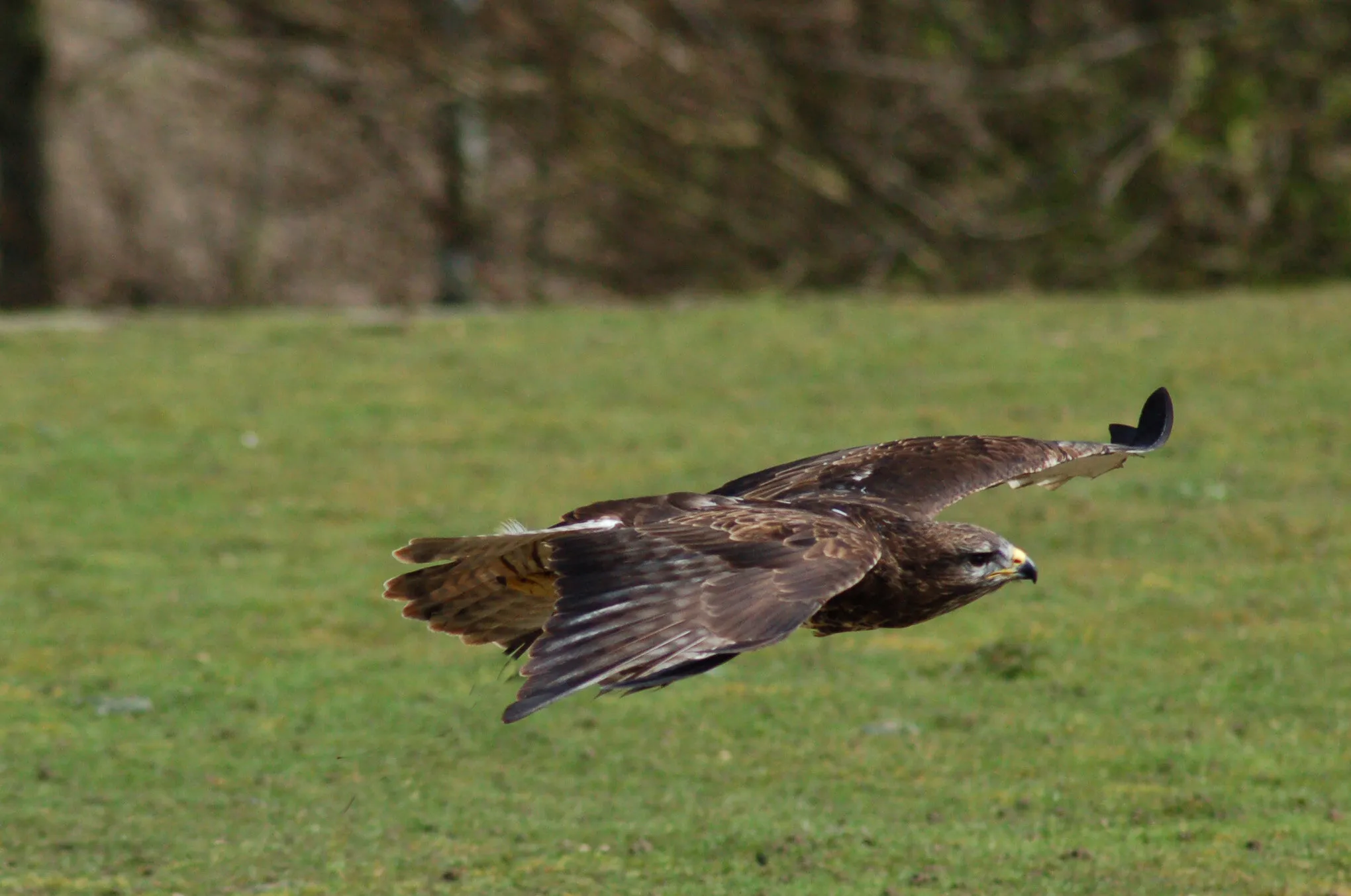 Low flying