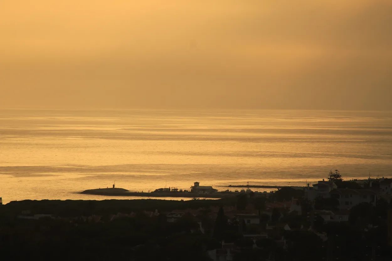 Entry 10238231