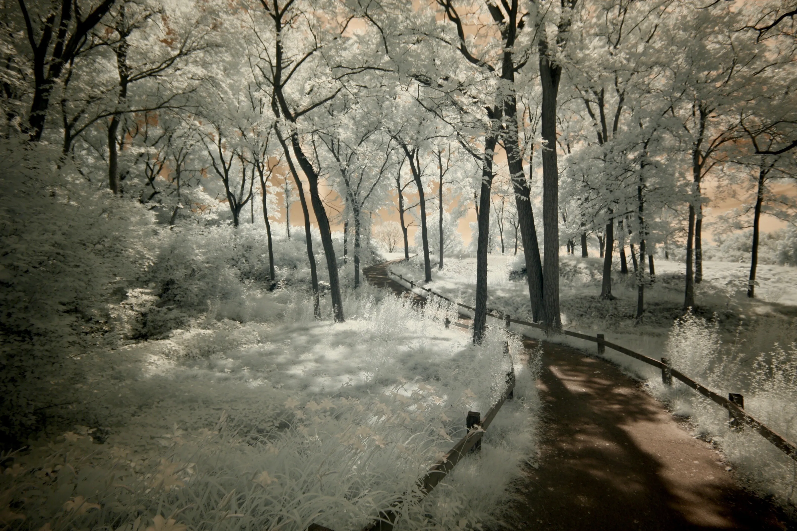 Infrared trail
