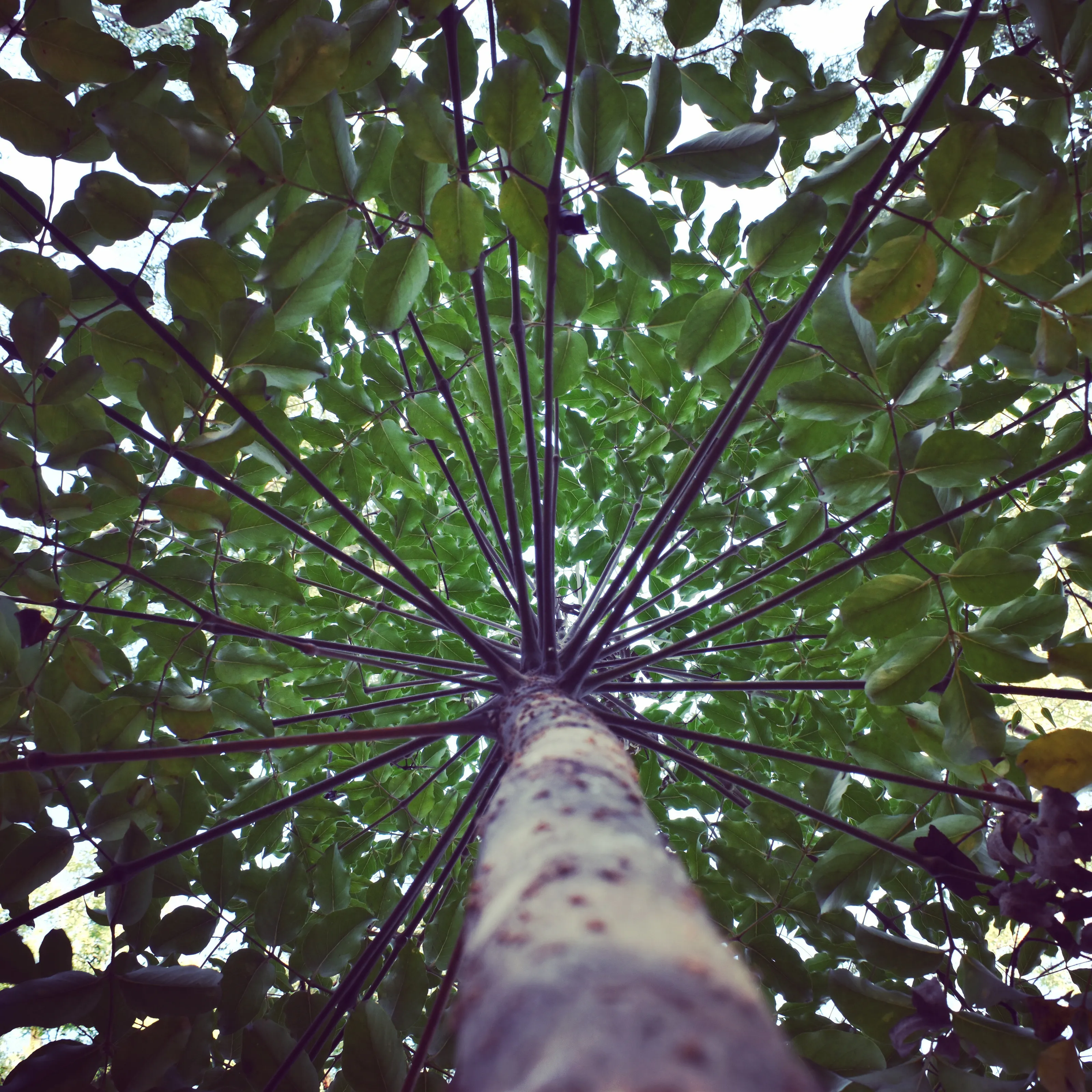 Up