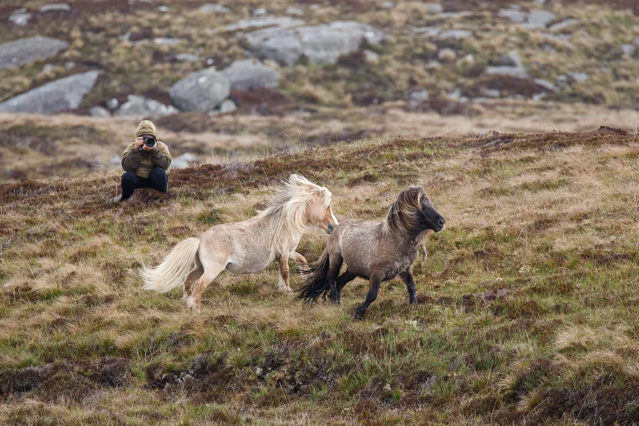Wildlife photographer in action