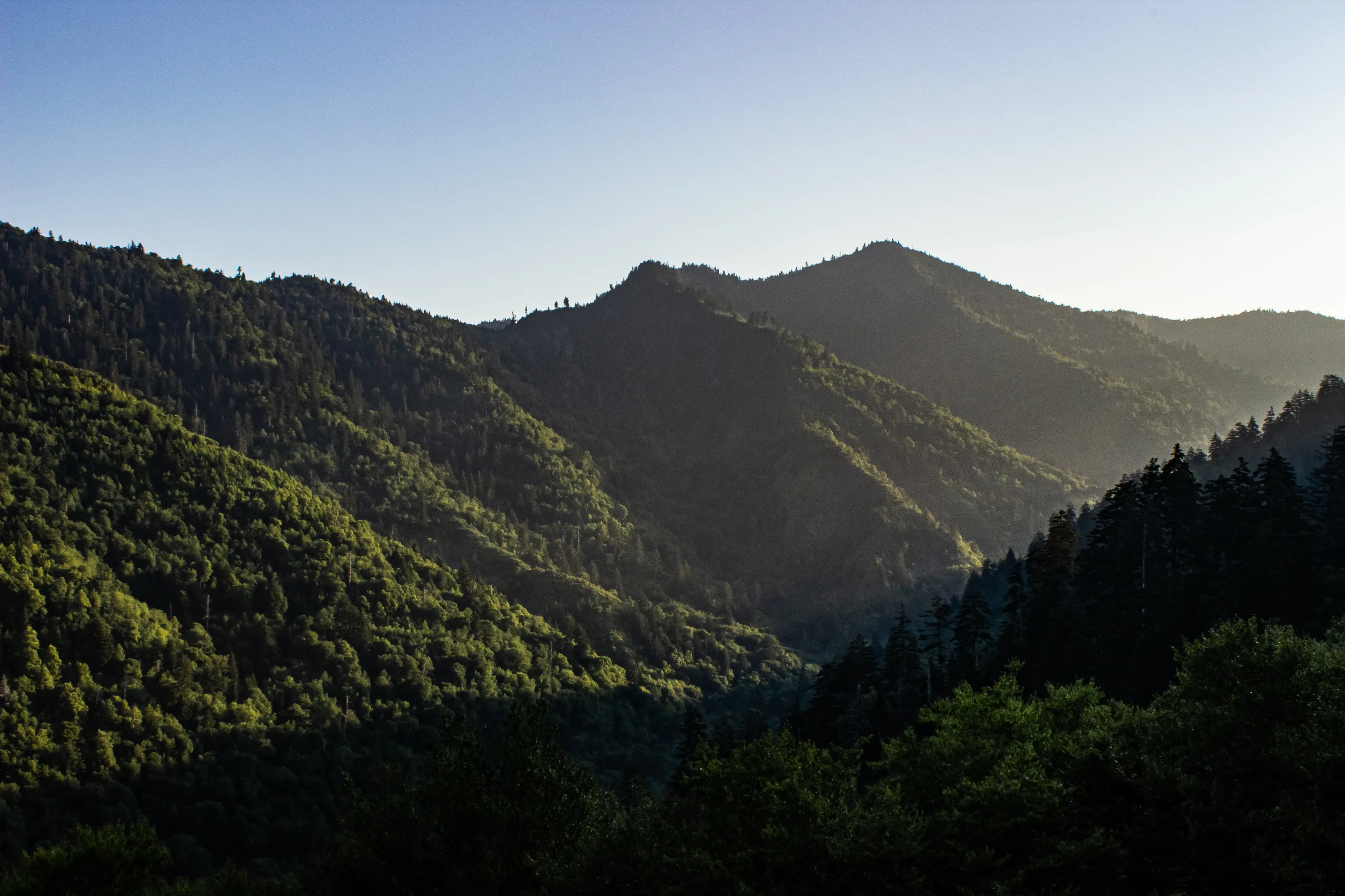 Smoky Sunrise
