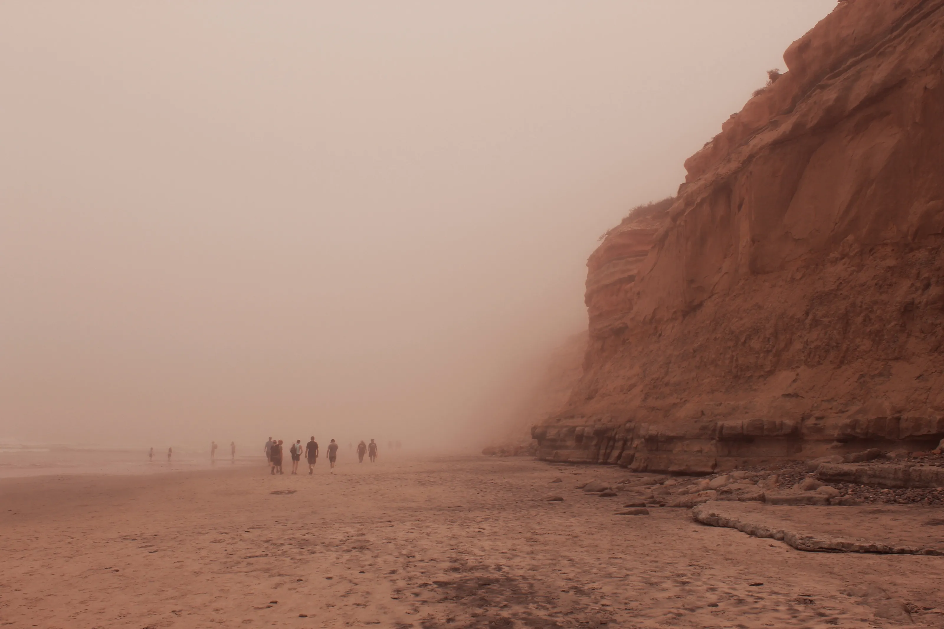 Torrey Pines