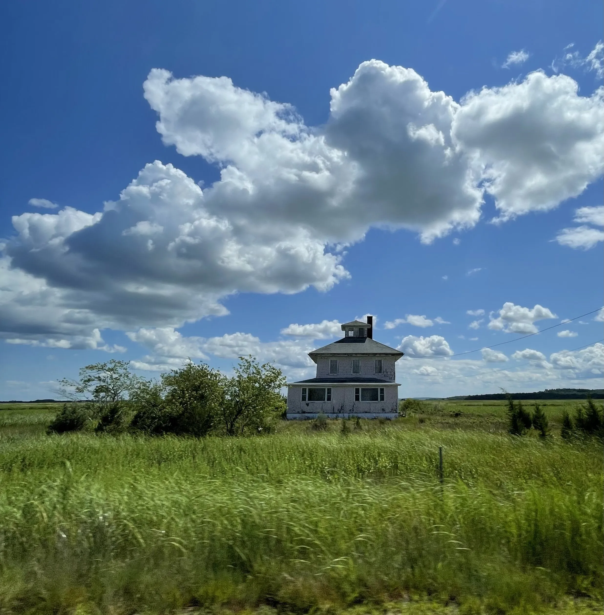 The Pink House