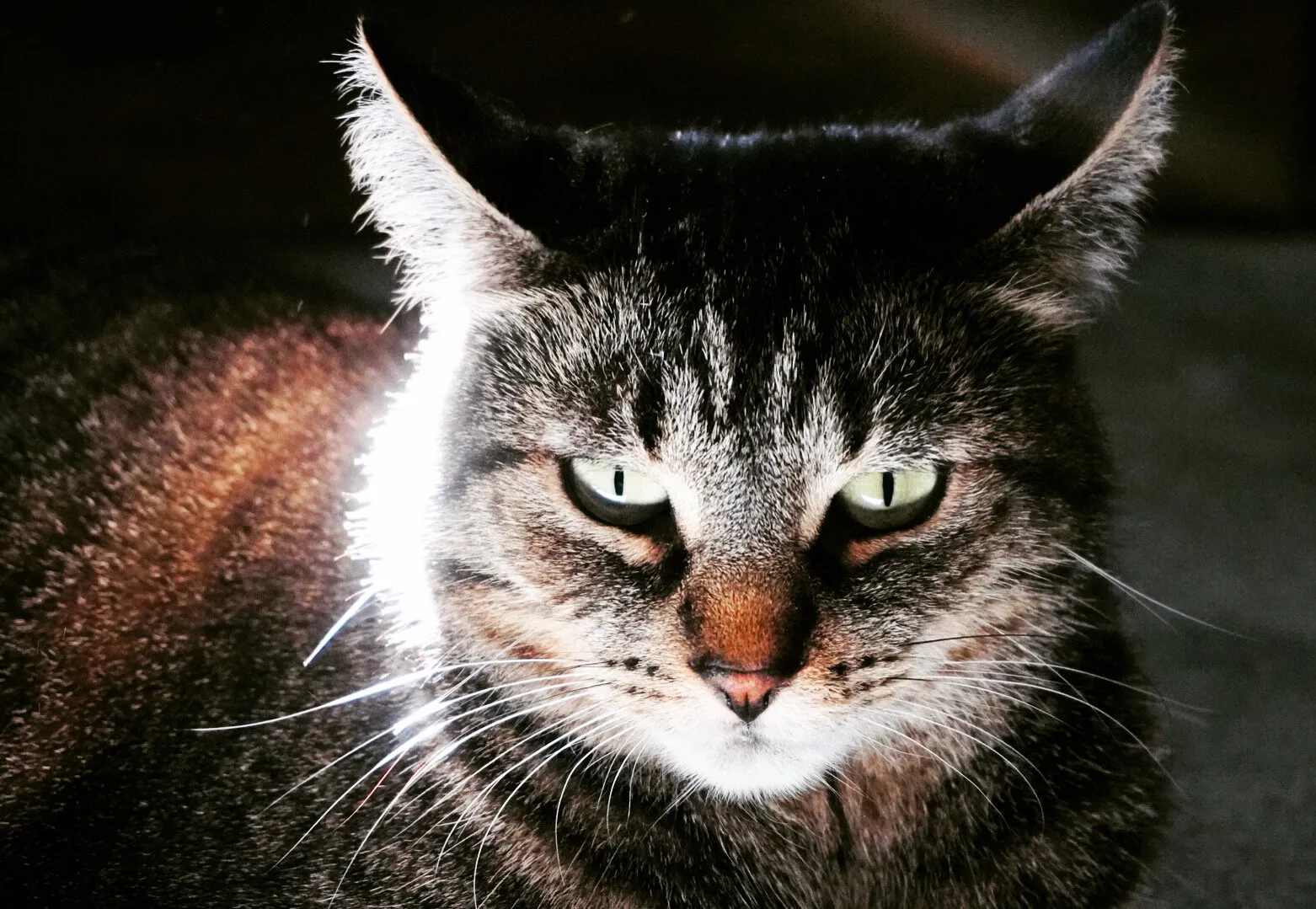 In my sight