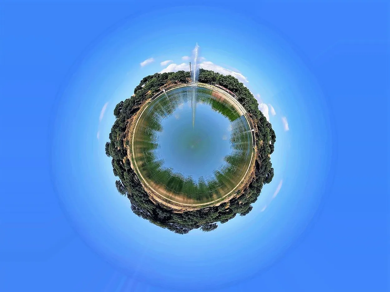 Entry 10260855